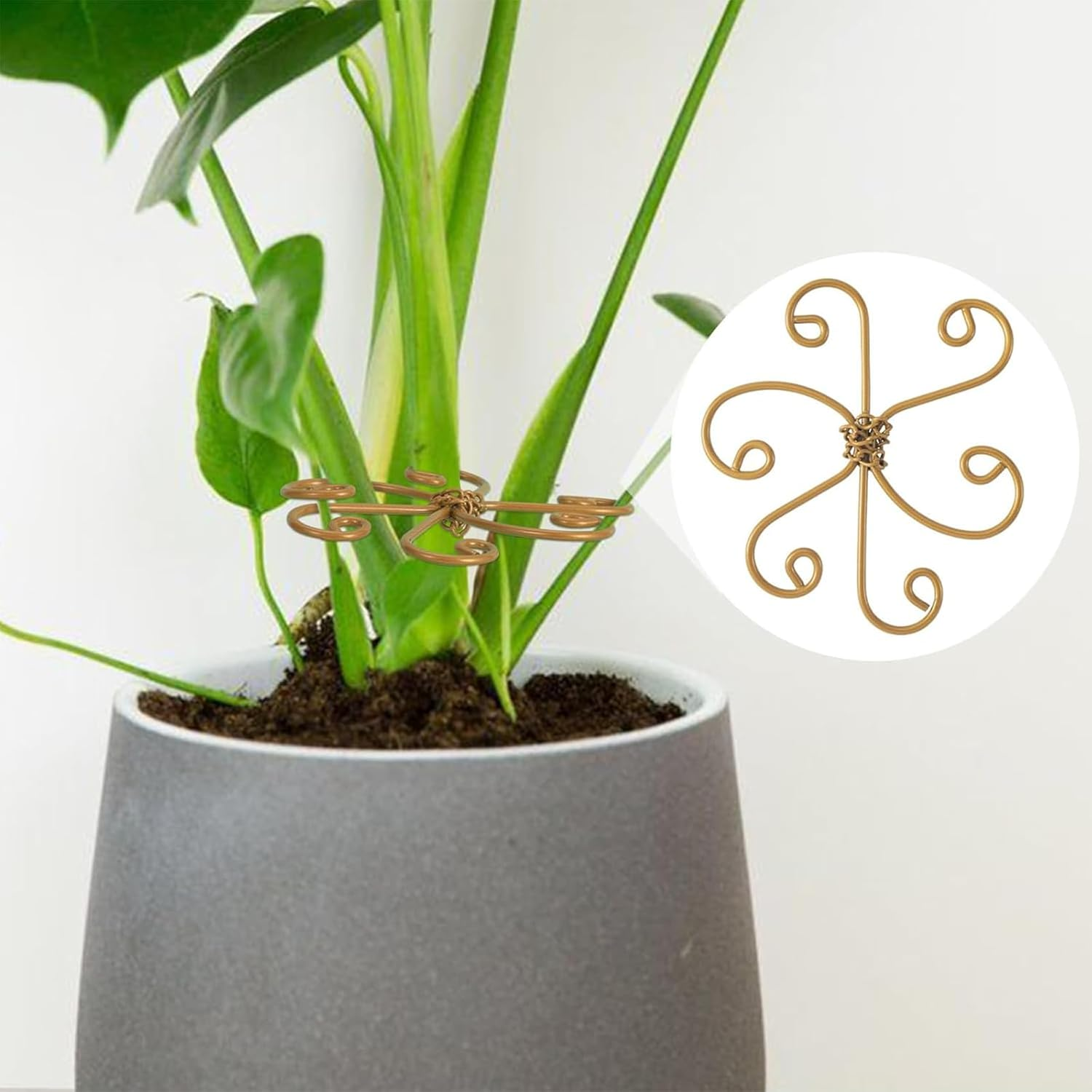 5-Pack Iron Plant Stem Supports for Monstera & Climbing Plants, Durable Hooked Design with Bamboo Clips, Indoor/Outdoor Leaf Stabilizers for Healthy Growth image number 5