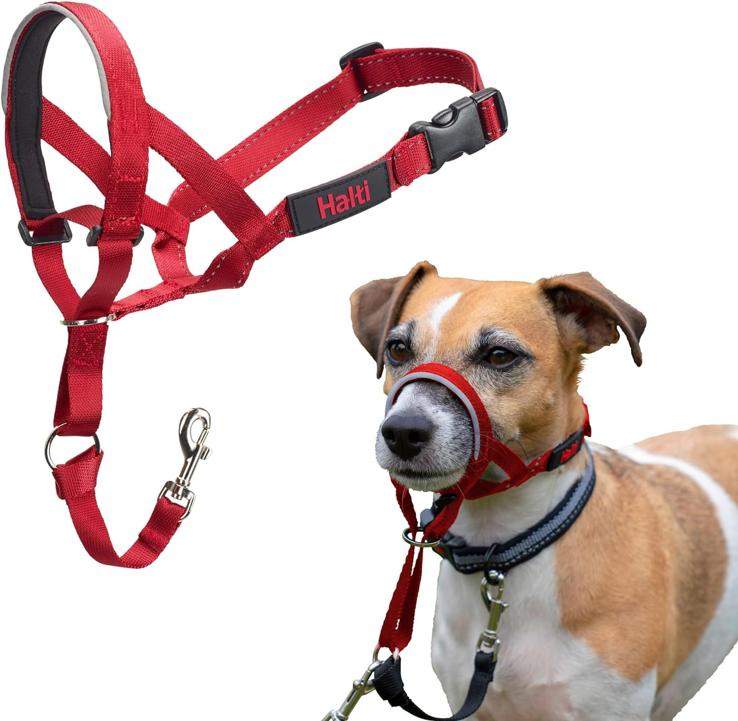 Halti Dog Training Headcollar, Red image number 3