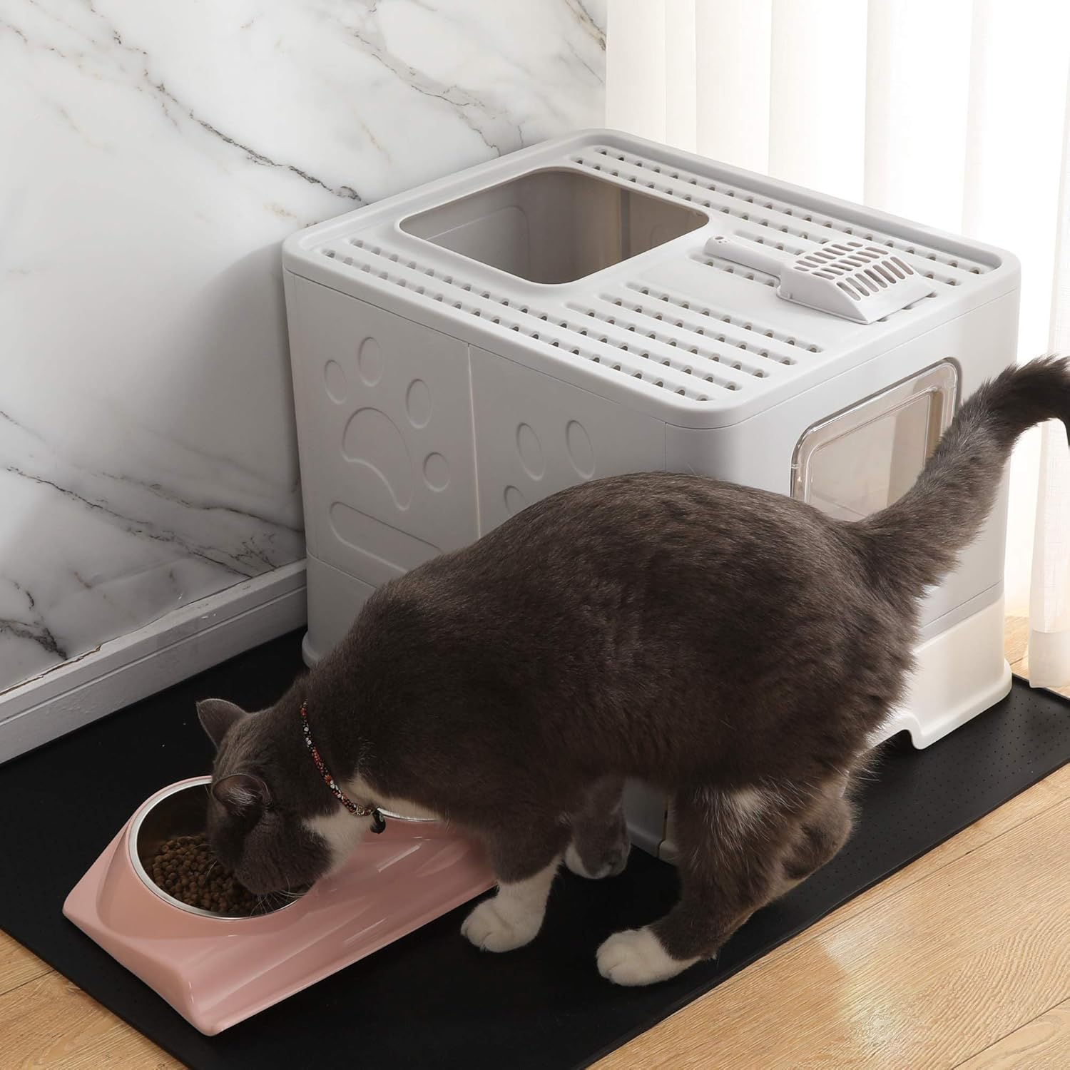 Cat Bowls Double Raised Cat Food Water Bowls Set Tilted Cat Feeding Bowl Elevated Stainless Steel Dog Bowls with Stand for Indoor Cats and Small Dogs/29