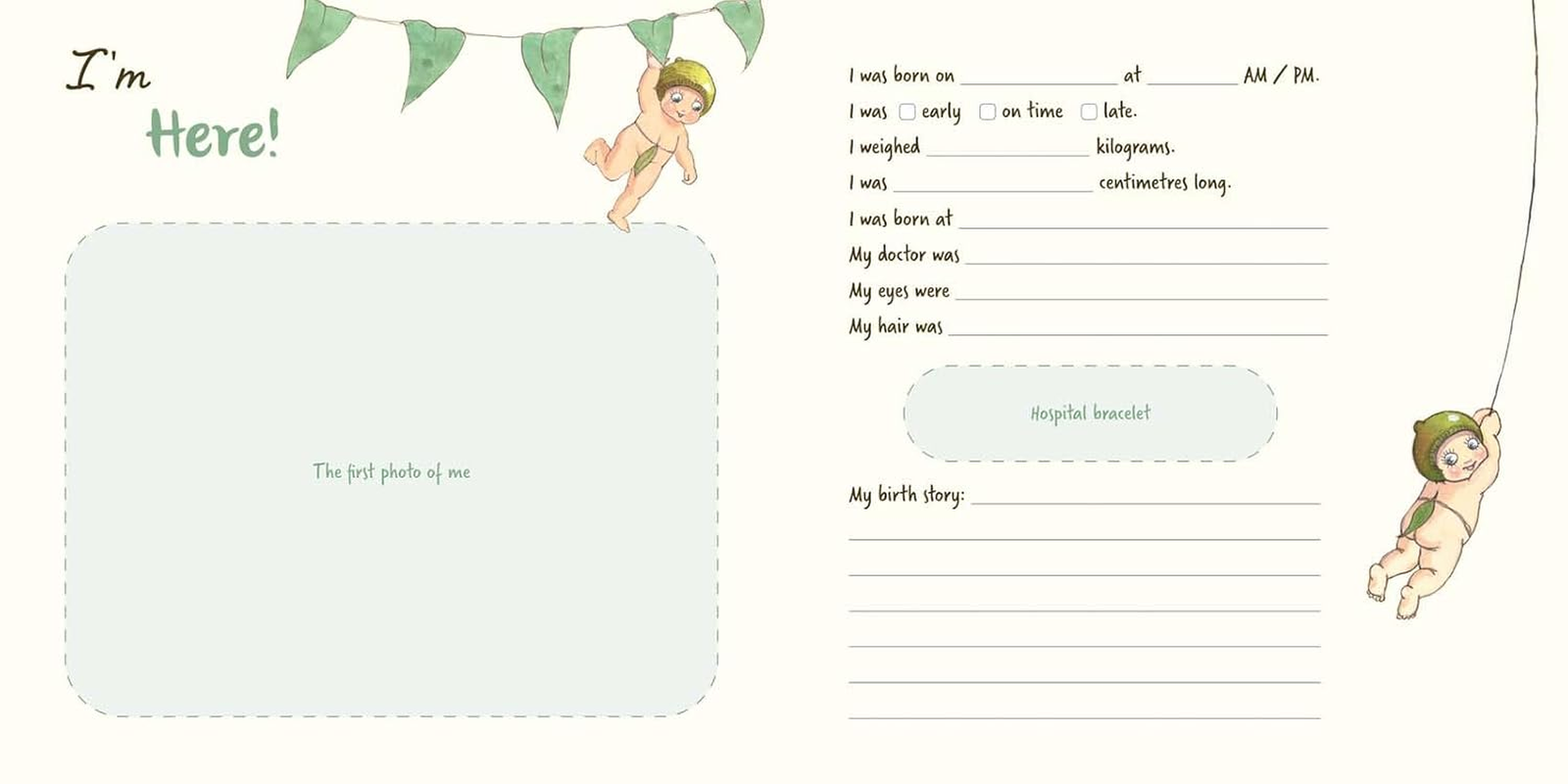 Baby Book: My First 3 Years (May Gibbs) image number 4