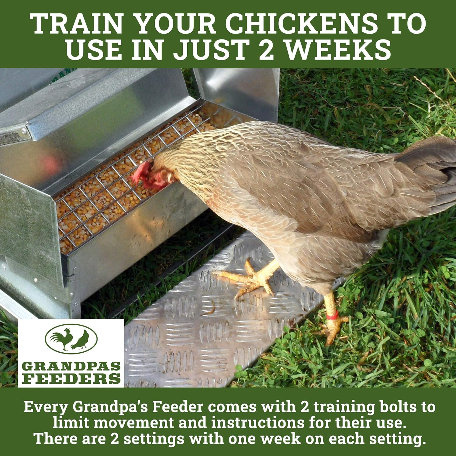 Grandpa'S Feeders Automatic Chicken Feeder - Sturdy Galvanized Steel Poultry Feeders - Rat Proof & No Spill with Weatherproof Lid - Standard Size for 6-12 Chickens 10 Days (9Kg Feed) image number 4