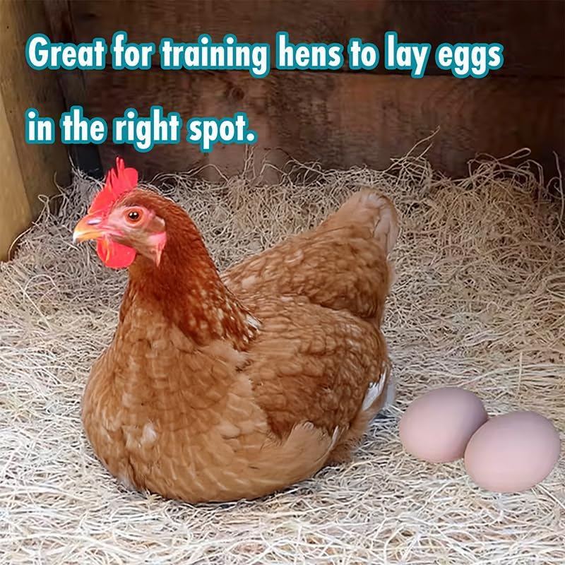Wooden Fake Eggs-4Piece for Laying Hens in Chicken Coop image number 2