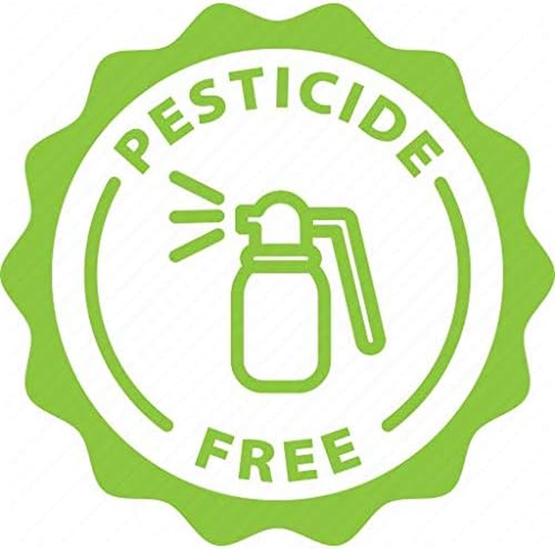 Saint Pure Natural Gourd Plant Loofah, Zero Waste Scrubber (Set of 2) image number 1