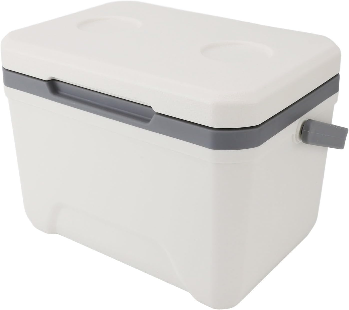 Insulated Portable Cooler, 6L Ice Chest Box, Lightweight Car Organizer Cooler Bag, Leakproof Cooler Box for Car, Travel, Outdoor Camping, BBQ, Beach, Picnic, Drink, Beverage image number 3