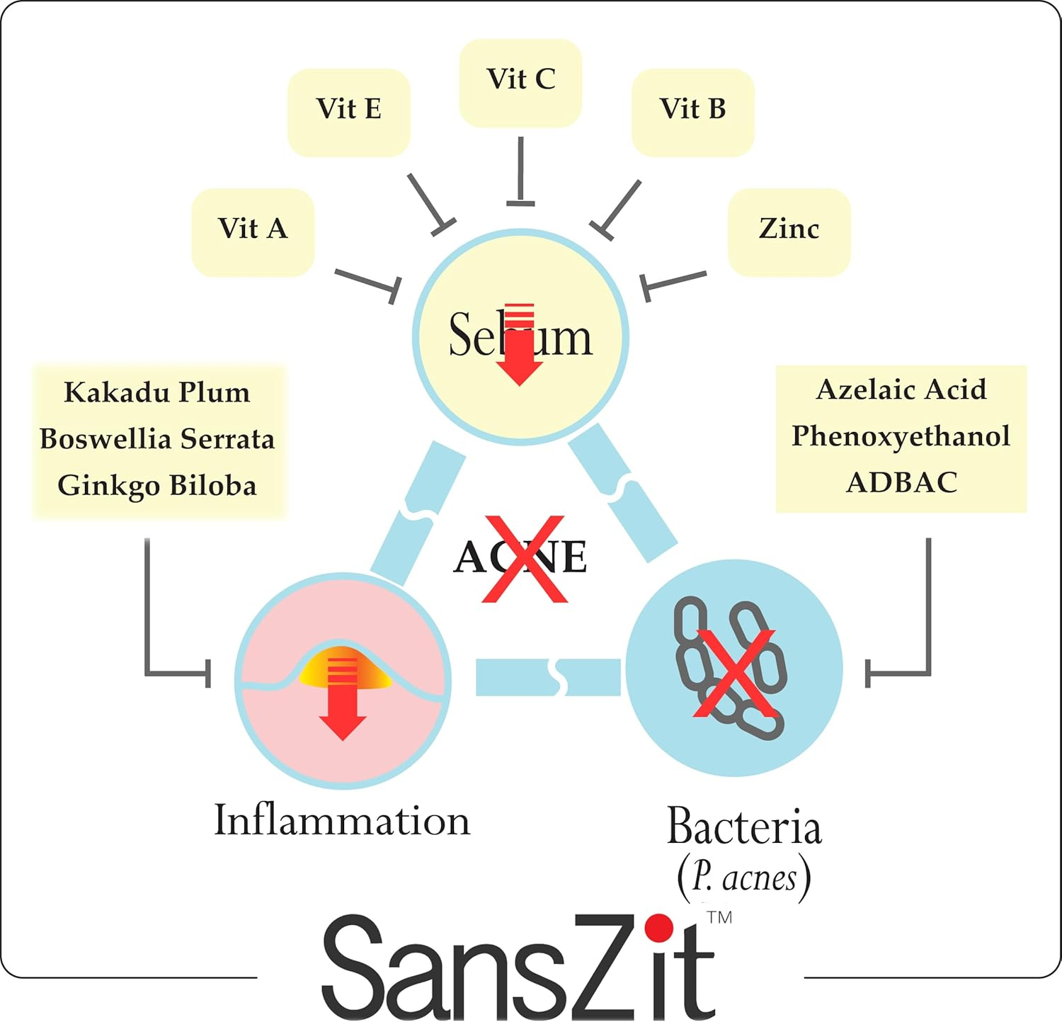 Non-Commodenic Moisturiser for Blemishes and Breackouts Prone Skin image number 2