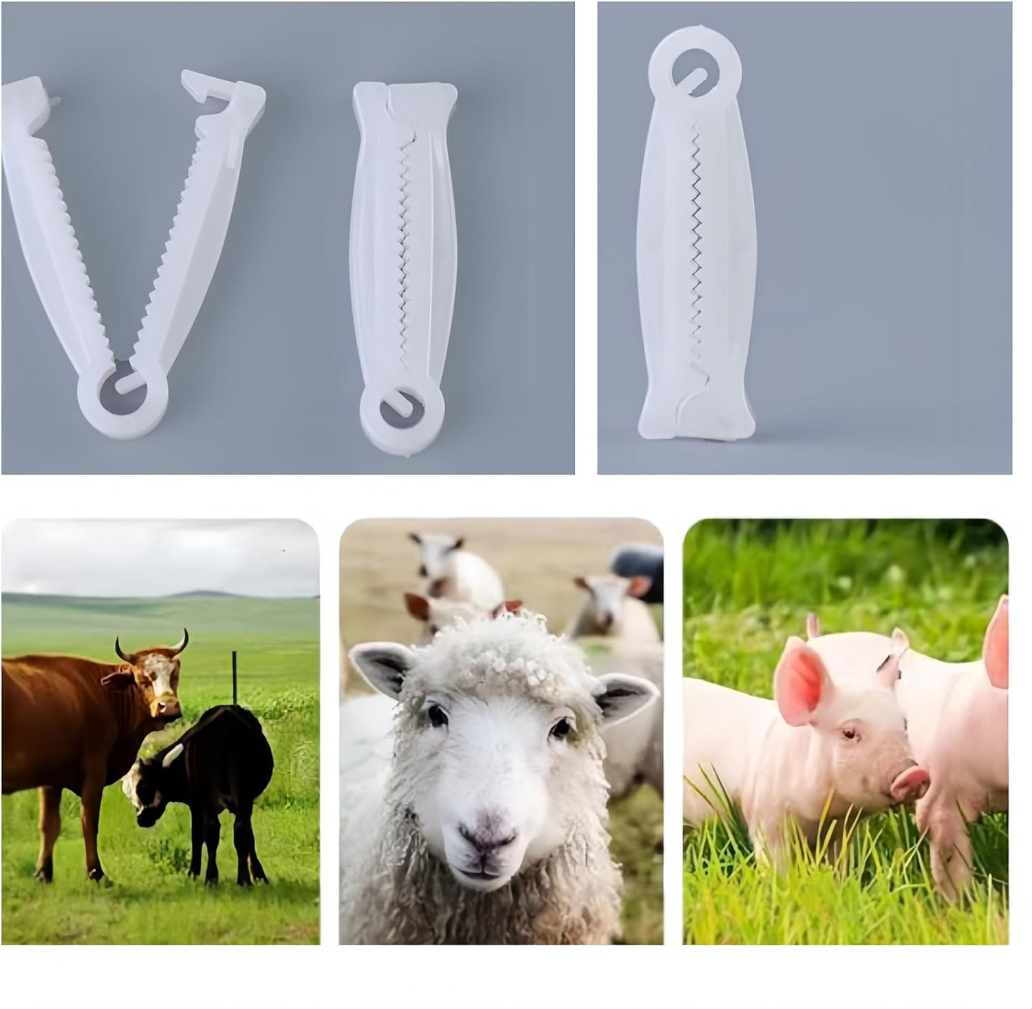 Ai-Oumleef Umbilical Cord Clips,100Pcs Portable Umbilical Clamps Convenient Umbilical Clips Small Sheep Clips Livestock Accessory for Animals Puppy Kittens Cow Livestock Sheep(White) image number 3