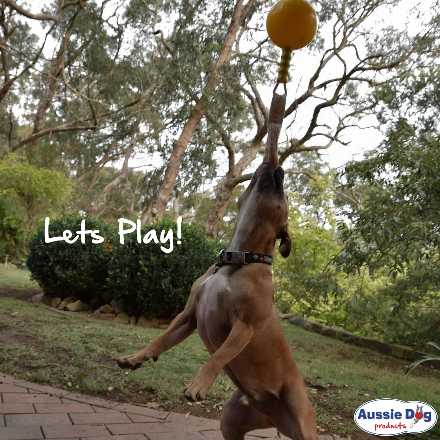 Aussie Dog Home Alone Toy for Medium Dogs (10-30Kg) Interactive Tug & Treat Ball | Mental Stimulation Chew Toy | Food Dispenser for Boredom Relief | Outdoor Durable Hanging Dog Toy image number 4