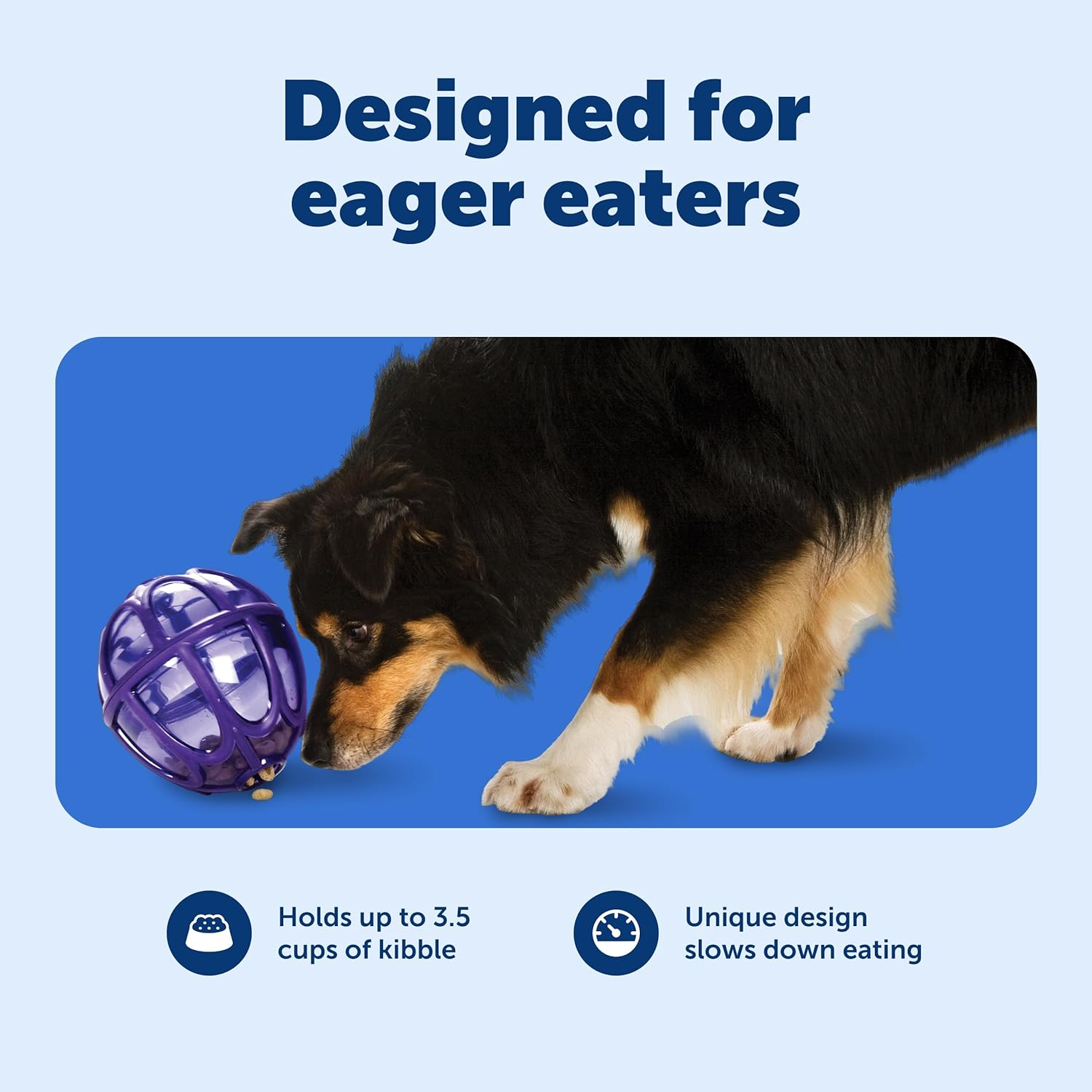 Petsafe Busy Buddy Kibble Nibble Meal Dispensing Dog Toy, Small - Pty00-13739,Purple - S (Pack Of 1) image number 2