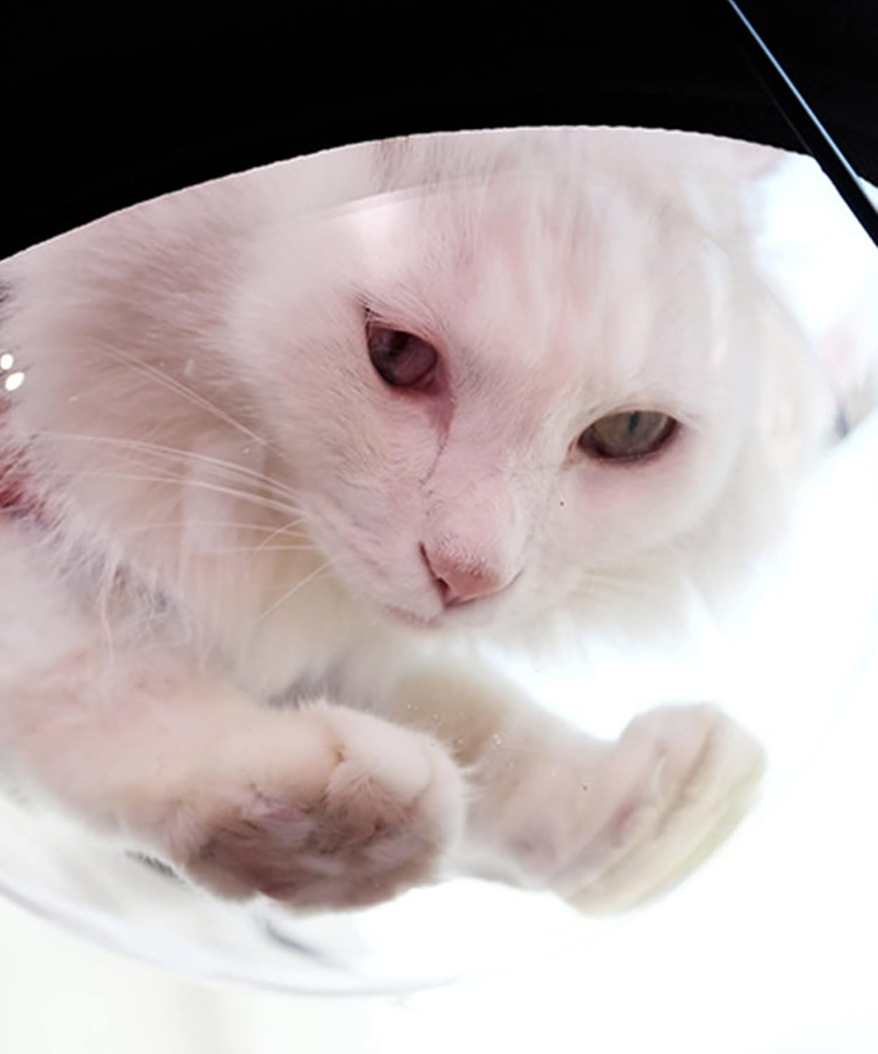 Hinata Nyanko Cat Window Bed, Window Bed, Cat Bed, Hammock, Cat Bed, Window Adheres to Windows, Suction Cup, Sunscreen Pet Bed, Gray image number 2