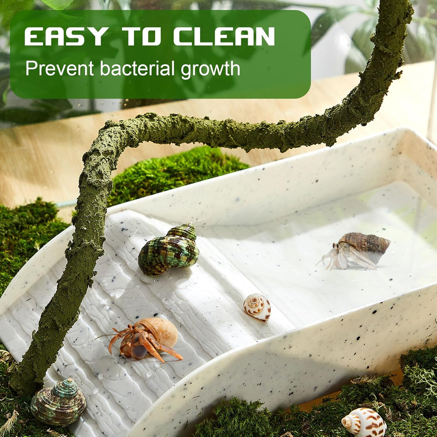 Ziliny Hermit Crab Water Tank with Climbing Ramp Large Reptile Climbing Toy Tortoise Habitat Accessories Turtle Basking Platform Aquarium Pool Supplies for Small and Medium Amphibians, Light Gray - Wood Color image number 3