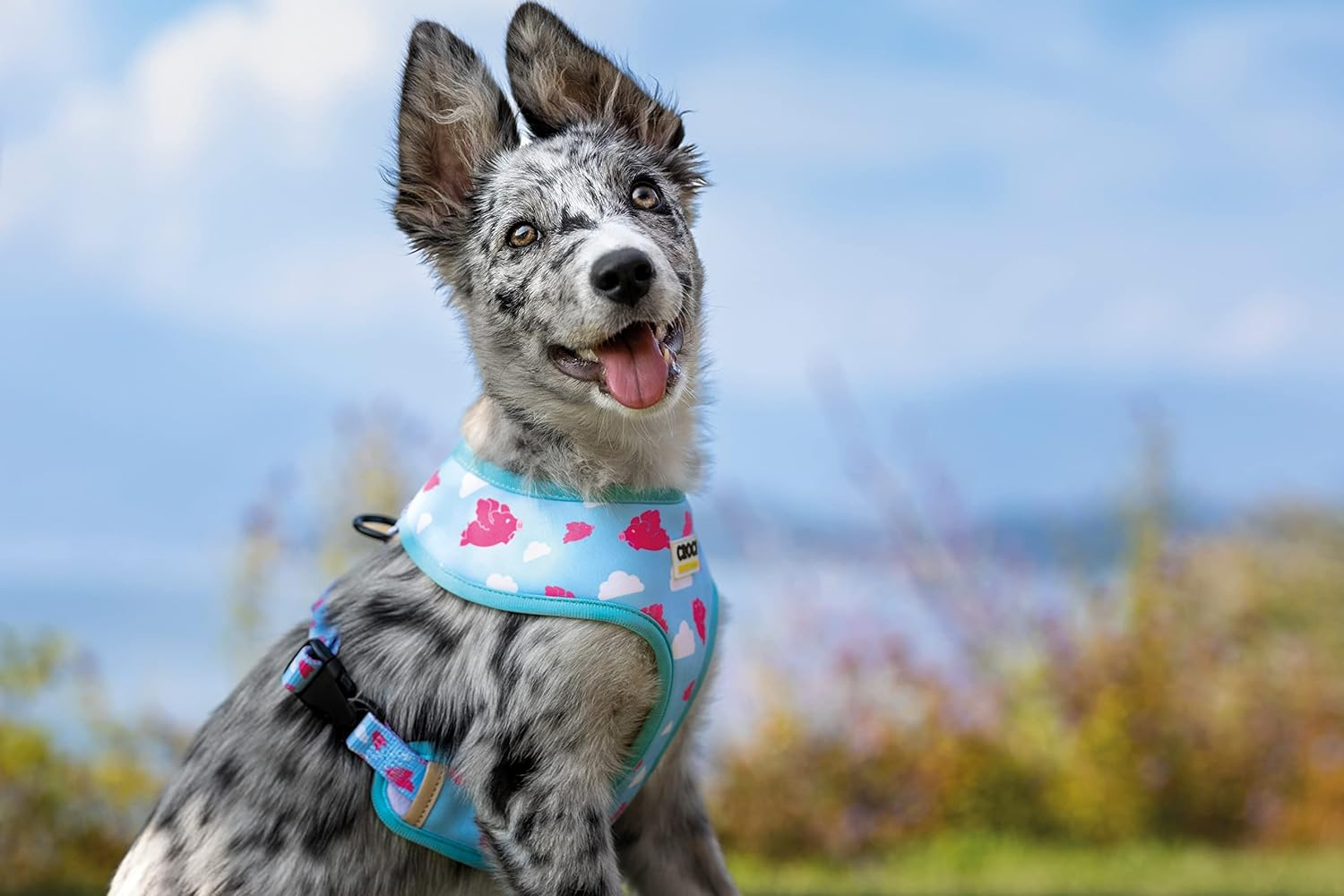 Croci Flying Pigs Nylon Adjustable Dog Collar with Removable Bow Tie Small 28-44 X 1.5 Cm image number 2