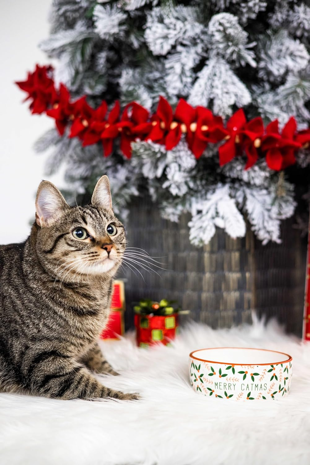 Pearhead Merry Catmas Pet Bowl, Cat Water and Food Dish, Christmas Holiday Cat Pet Bowl, Small