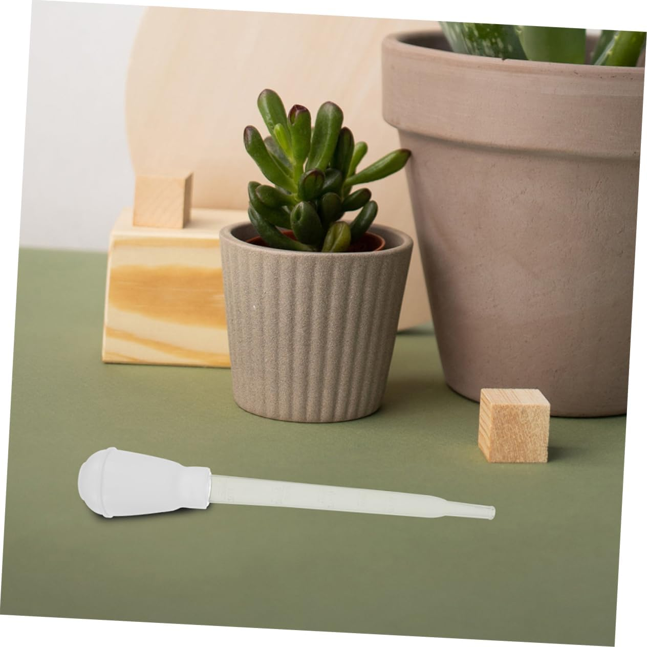 3Pcs Plant Tray Water Absorber and Saucer Water Removal Tool for Gardening with 30Ml Capacity Each Suitable for Indoor and Outdoor Planters image number 6