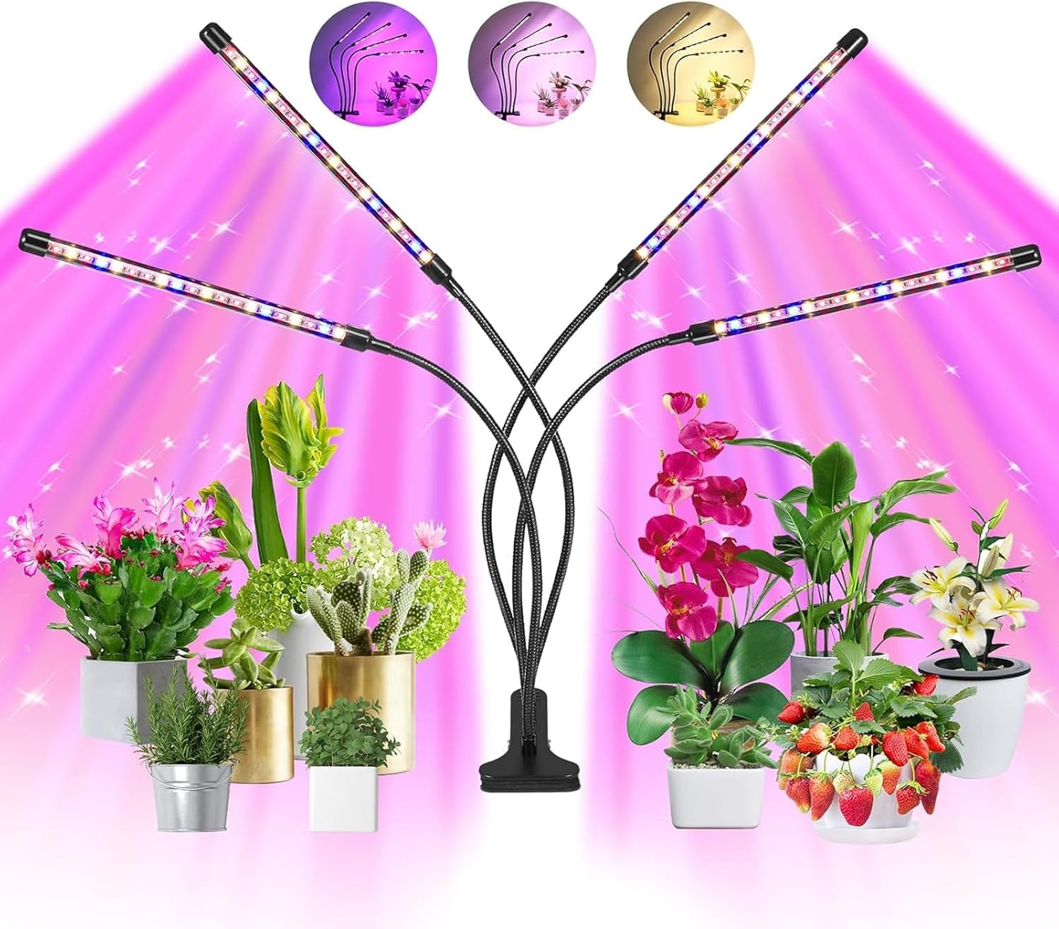 Grow Lights for Indoor Plants Full Spectrum, with 3/9/12H Timer, 9-Level Dimming & 3 Light Modes, Adjustable Gooseneck for Seedlings, Succulents, Hydroponics (Black) image number 2
