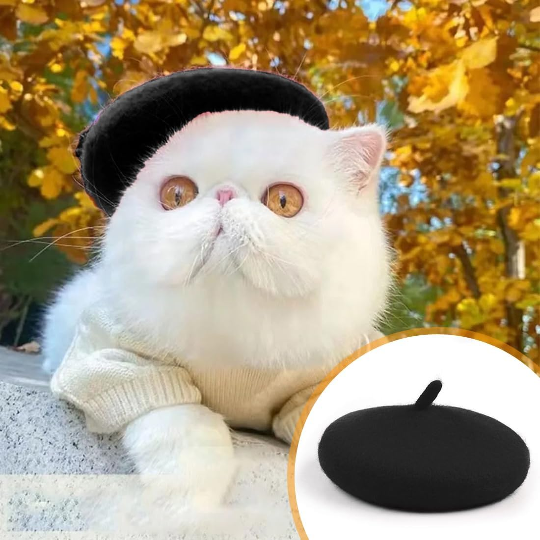 Luliyldj Black Beret Hat, Cat Hat, Cat Clothing, Costume for Cats, Dog Costume, Headwear for Cats, Puppies, Pet Materials