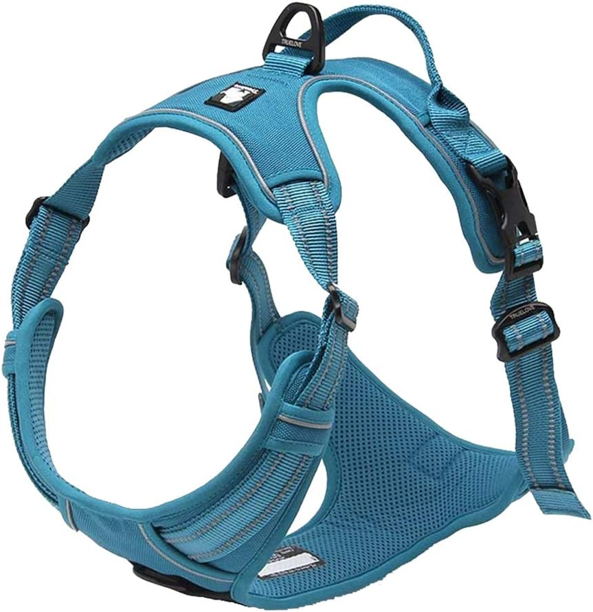 Truelove Dog Harness TLH5651 No-Pull Reflective Stitching Ensure Night Visibility, Outdoor Adventure Big Dog Harness Perfect Match Puppy Vest (S, Fushcia)