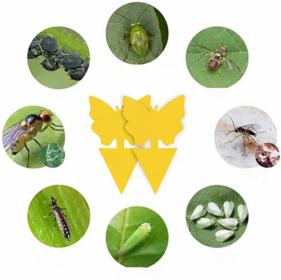 Yellow Sticky Traps, 100 PCS Dual-Sided Sticky Insect Catcher with Twist Ties Fruit Fly Fungus Gnat Trap Killer for Whiteflies Mosquitos Fungus Aphids Leafminers Indoor Outdoor Use image number 3