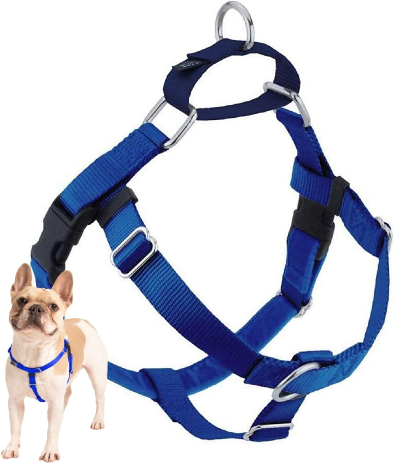 2 Hounds Design Freedom No Pull Dog Harness, Adjustable Harness, Easy Walking & Comfortable Control, Fits Small, Medium & Large Dogs, Solid Colors, Made in USA, 1" XL, Royal Blue image number 3