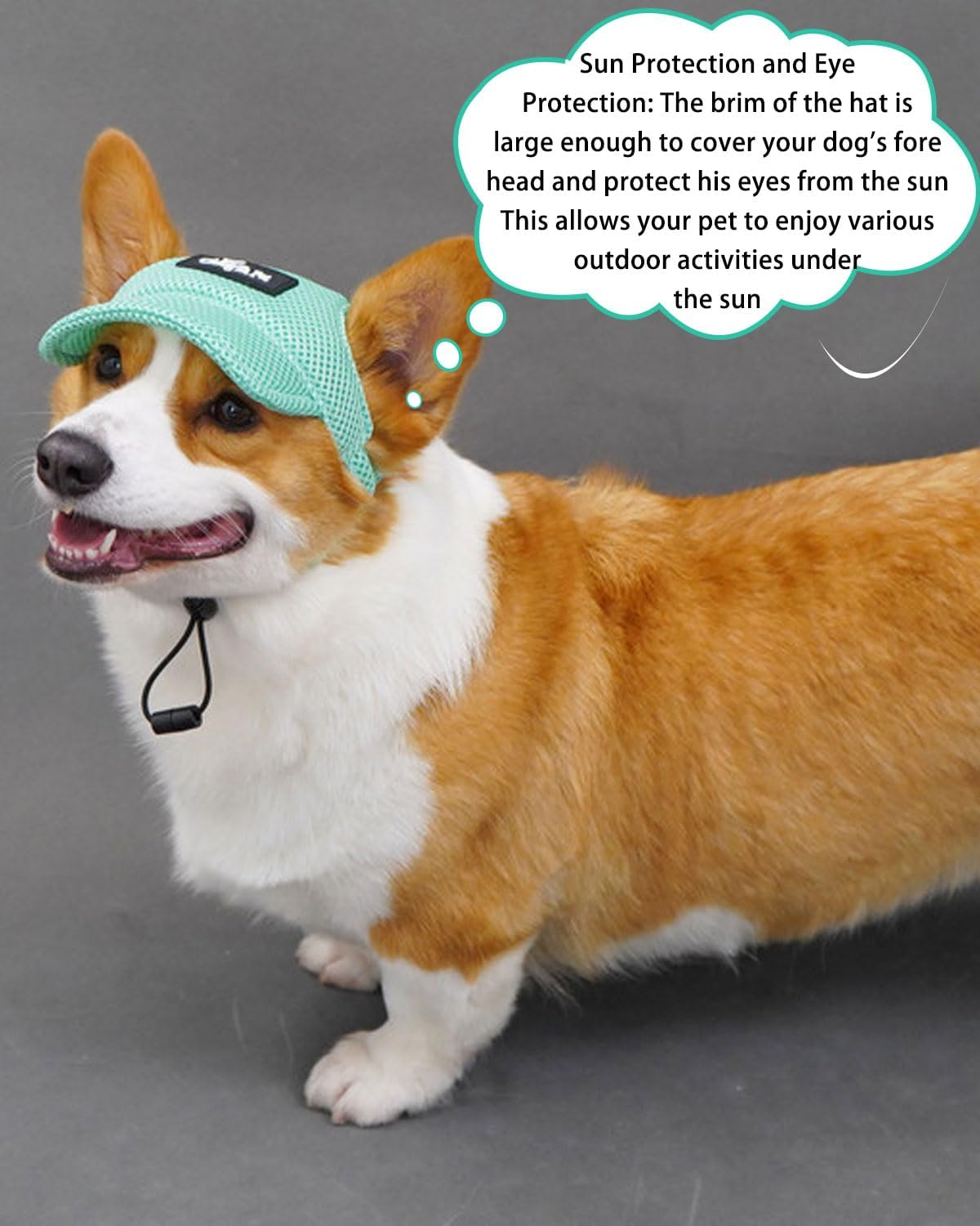 BPTRKOM 1 Piece Dog Baseball Cap with Adjustable Sun Protection - Baseball Cap with Special Ear Holes for All Dog Sizes - Breathable UV Protection Design (Size : M, Color : Green) image number 4