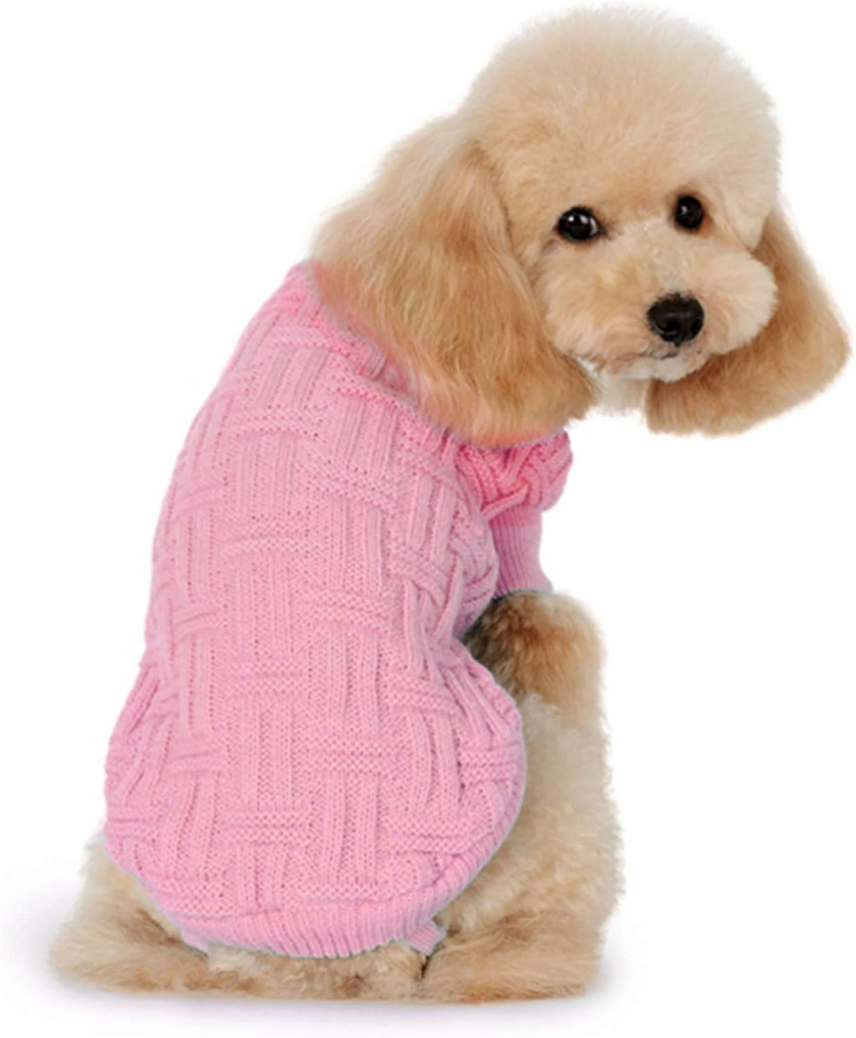 Alpha Dog Jersey Knit Fabric Pink 45 Cm 150 G image number 1