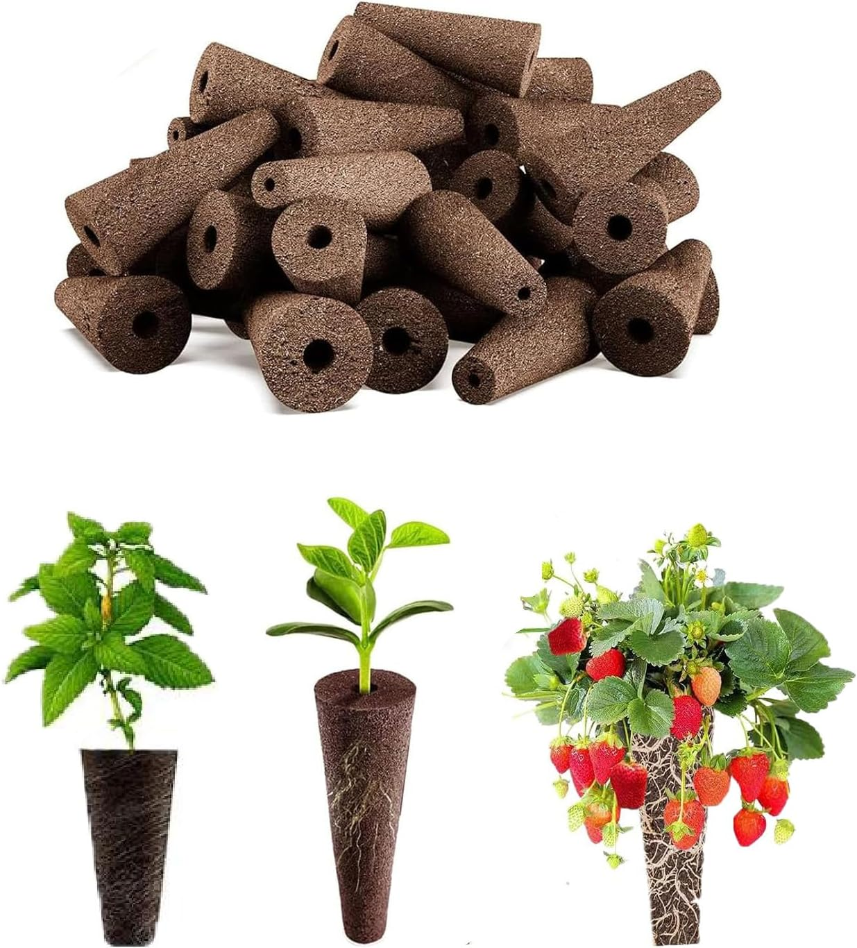 Wzenclave 50 Pack Grow Sponges Hydroponic Planting Block Planting Basket Seedling Block Planting Sponge Soilless Planting Basket Plant Growing Plugs Sponges for Indoor Hydroponic Plants Growth image number 3