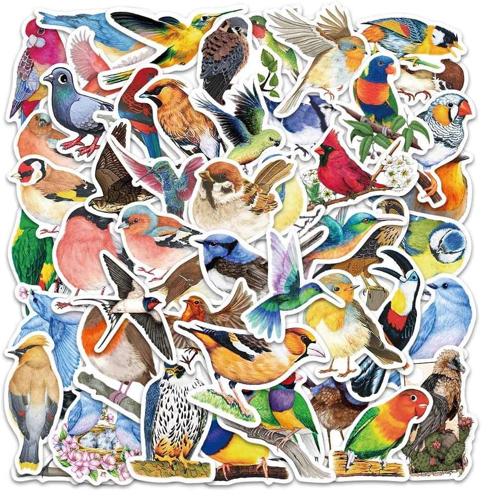 Colourful Bird Stickers 50 Pcs, Cartoon Birds Parrot Waterproof Vinyl Stickers for Laptop Phone Water Bottles Scrapbooking Journaling Guitar Skateboard DIY Decoration for Kids Teens image number 3