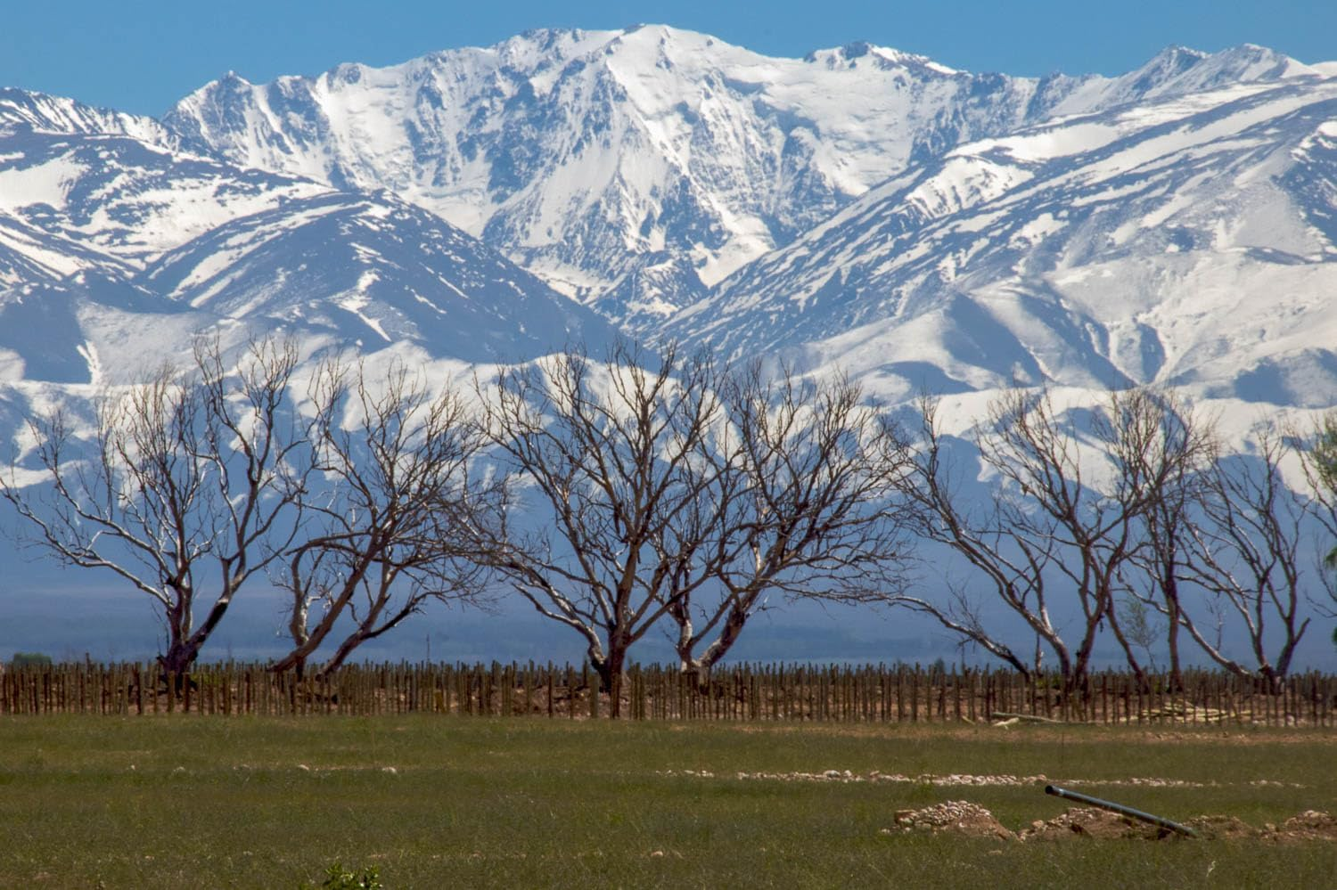 2016 Aluvi&oacute;n Vineyards Malbec Wine "Forjado" from the Uco Valley, Mendoza, Argentina image number 1