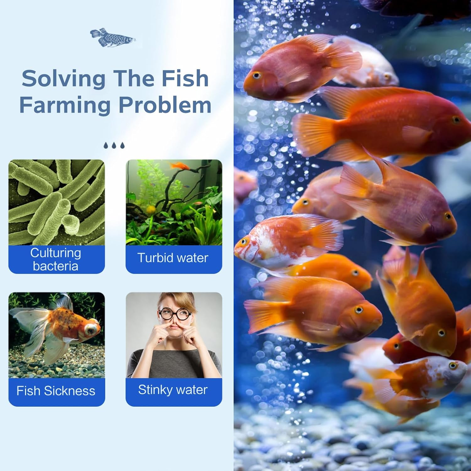 SUSOO 12 in 1 Aquarium Filter Media,Enduring Effect Sink Bio Media with Filter Net Bag,Activated Carbon,Bio Balls,Ammonia Remover Rock,Ceramic Rings,For Fish Tank Accessories Clear Water (650G/1.4Lb) image number 1