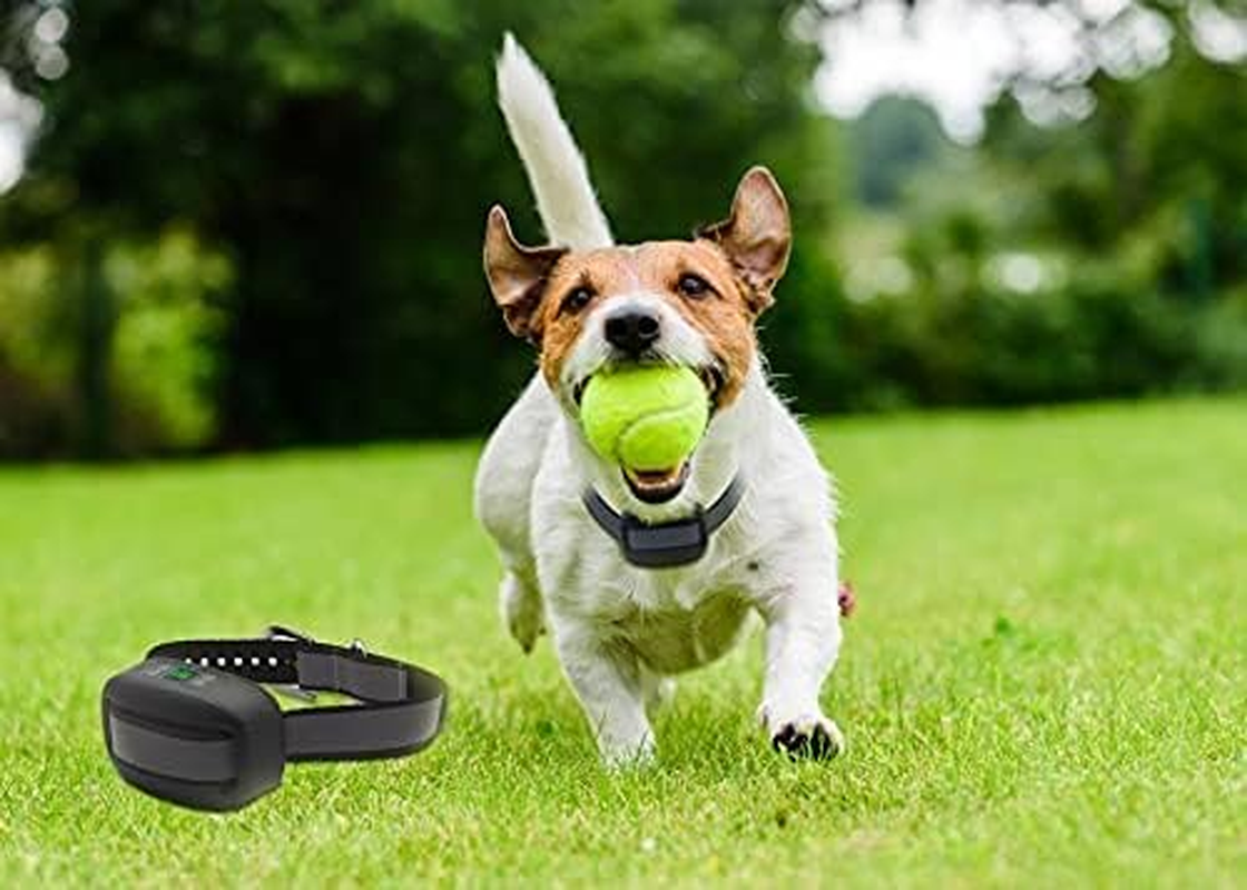 WIEZ GPS Wireless Dog Fence, Electric Dog Fence with GPS, Range 100-3300 Ft, Adjustable Warning Strength, Rechargeable, Pet Containment System, Harmless and Suitable for All Dogs image number 5