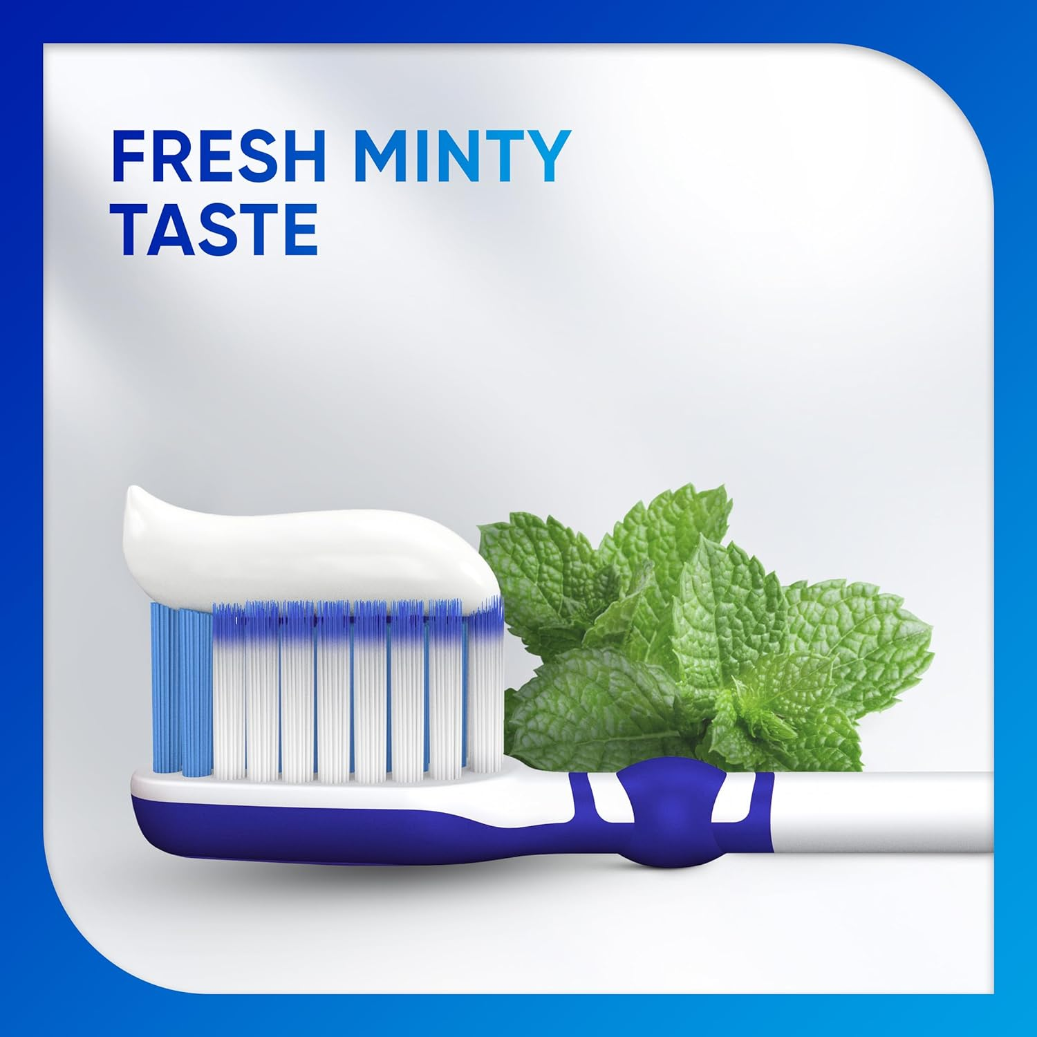 Sensodyne Toothpaste, Daily Care, 100G (Pack of 3) image number 5