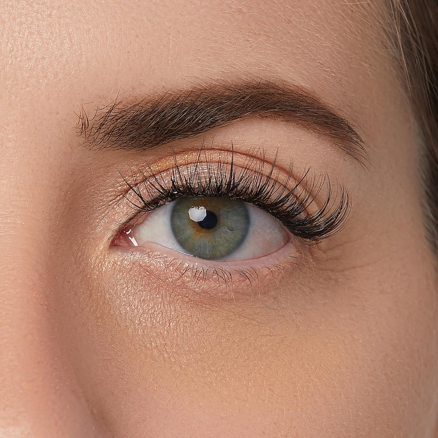 FALSCARA Clear Band False Eyelashes, Lash Extension Kit, Feathery & Wispy, Natural Volume, 8Mm-10Mm-12Mm, Includes Bond & Seal, Precision Applicator & 36 Lash Clusters image number 2