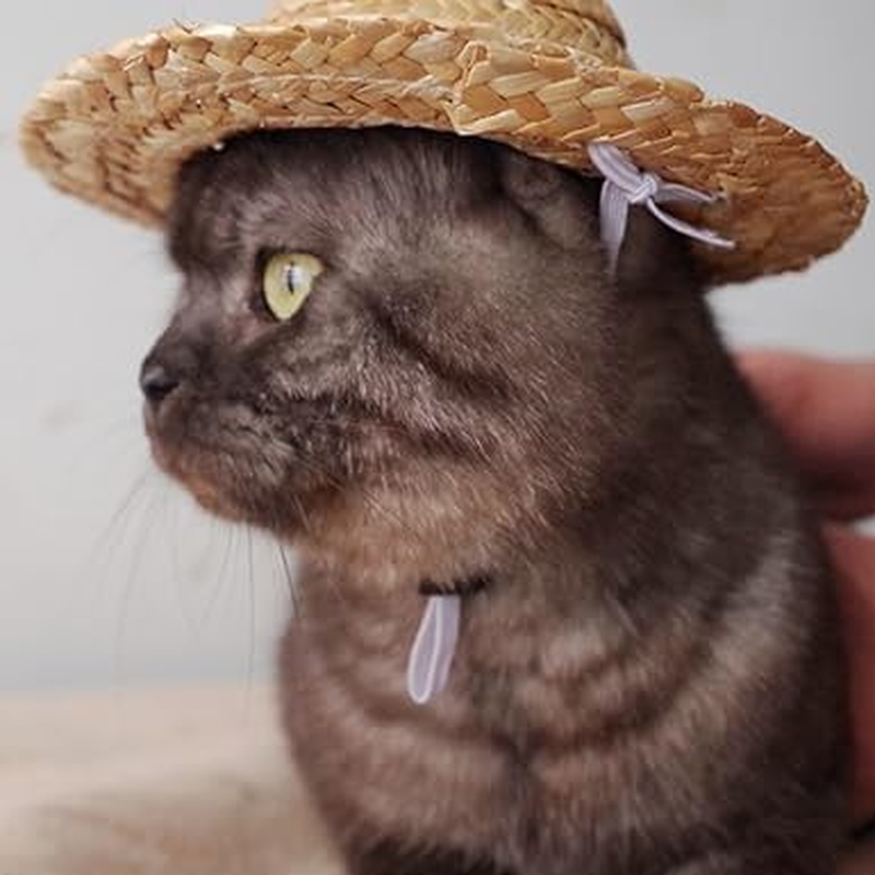 Novelty Summer Adjustable Pet Dog Outdoor Straw Hat Puppy Small Kitty Cat Sunhats Dog Hat Apparel and Accessories Pet Supplies image number 1