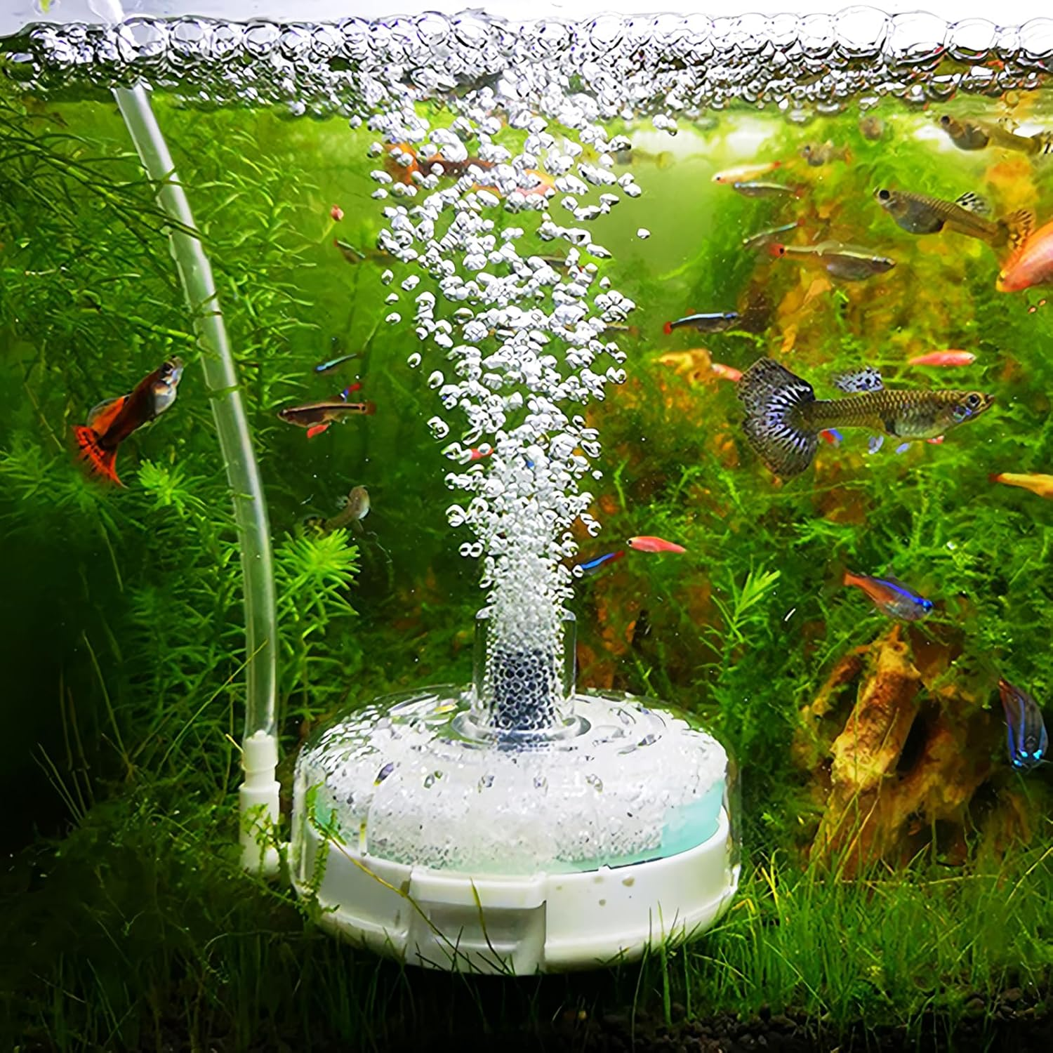Mini Aquarium Filter | Small Fish Filter | Purifier Pump Aerator for Terrarium Saltwater Breeding Turtle Pond Shrimp Applications image number 6