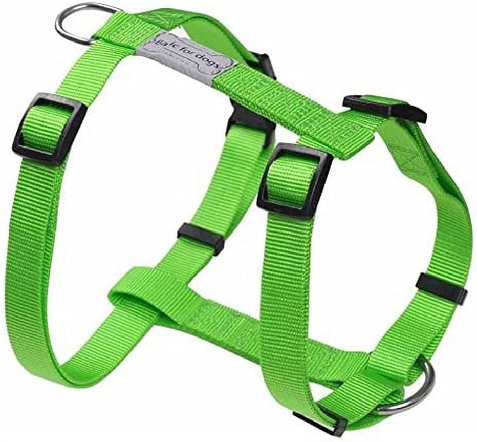 Wouapy Basic Line Harness for Dog, 15 Mm Width/Thorax of 43/65 Cm, Green Harness