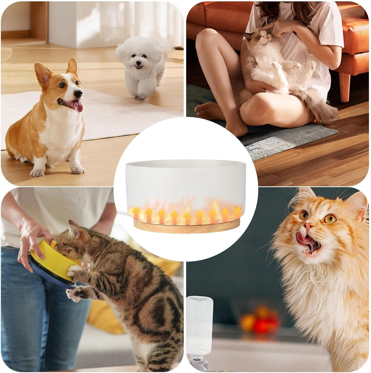 Heated Water Bowl, Ceramic Thermal Pet Bowl 1000Ml, Chicken Water Heater with 30&deg;C Constant Temperature, Battery Operated Heated Pet Bowl, USB Heating Dog Heated Bowl for Winter image number 3