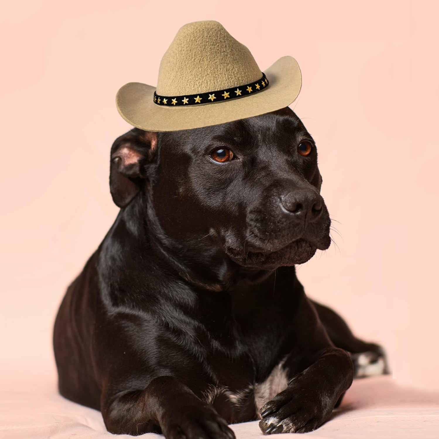 Dog Cowboy Hat Cat Cowboy Hat Mini Cowboy Hat for Dogs Cat Pet Cowboy Costume with Bandana Scarf Holiday Halloween Pet Party Decoration (Khaki, Large) image number 5