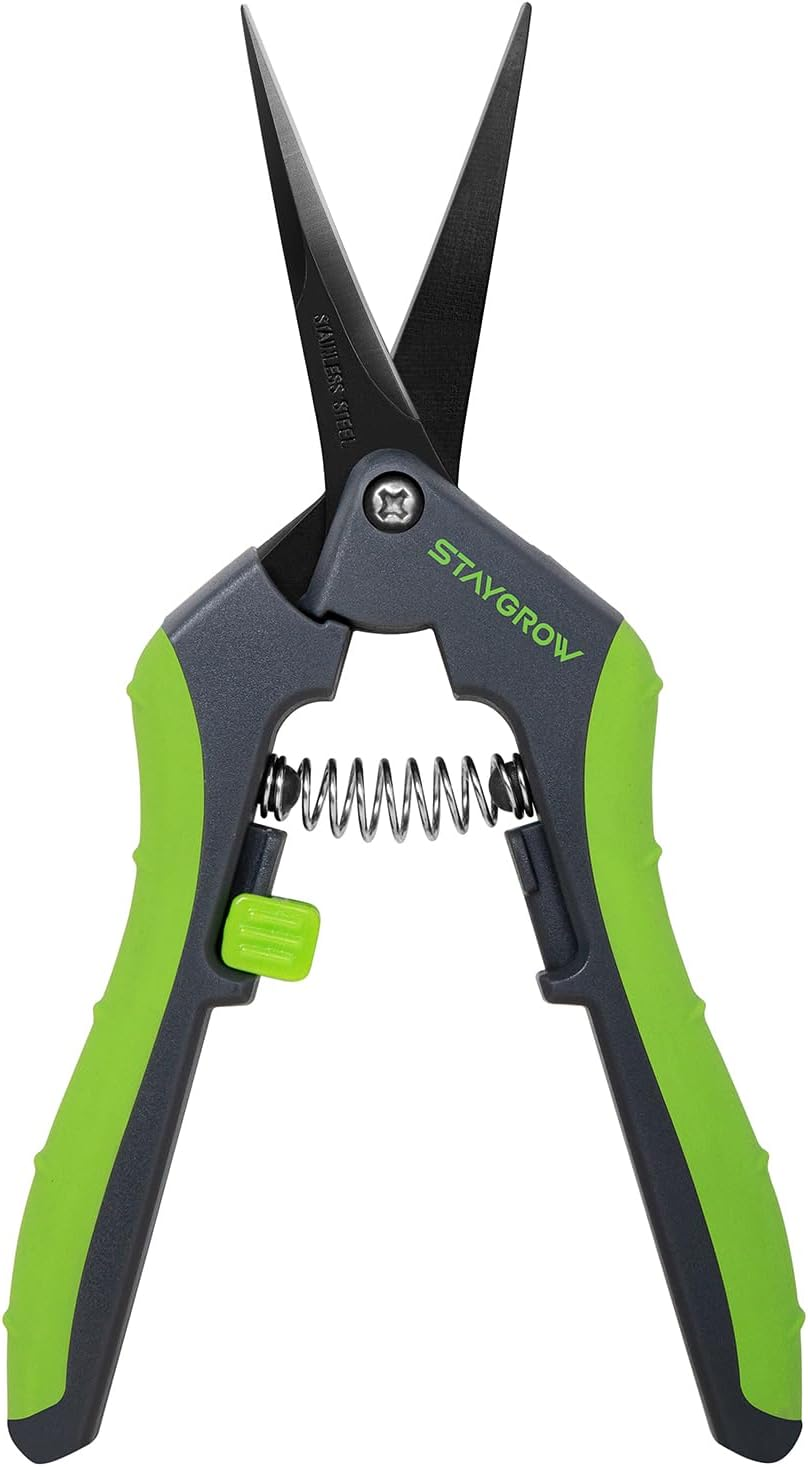 STAYGROW Secateurs 165 Mm with Curved Steel Blades, Locking Handle, Trimming Scissors for Branches, Flowers, Fruits, Plants, Bonsai