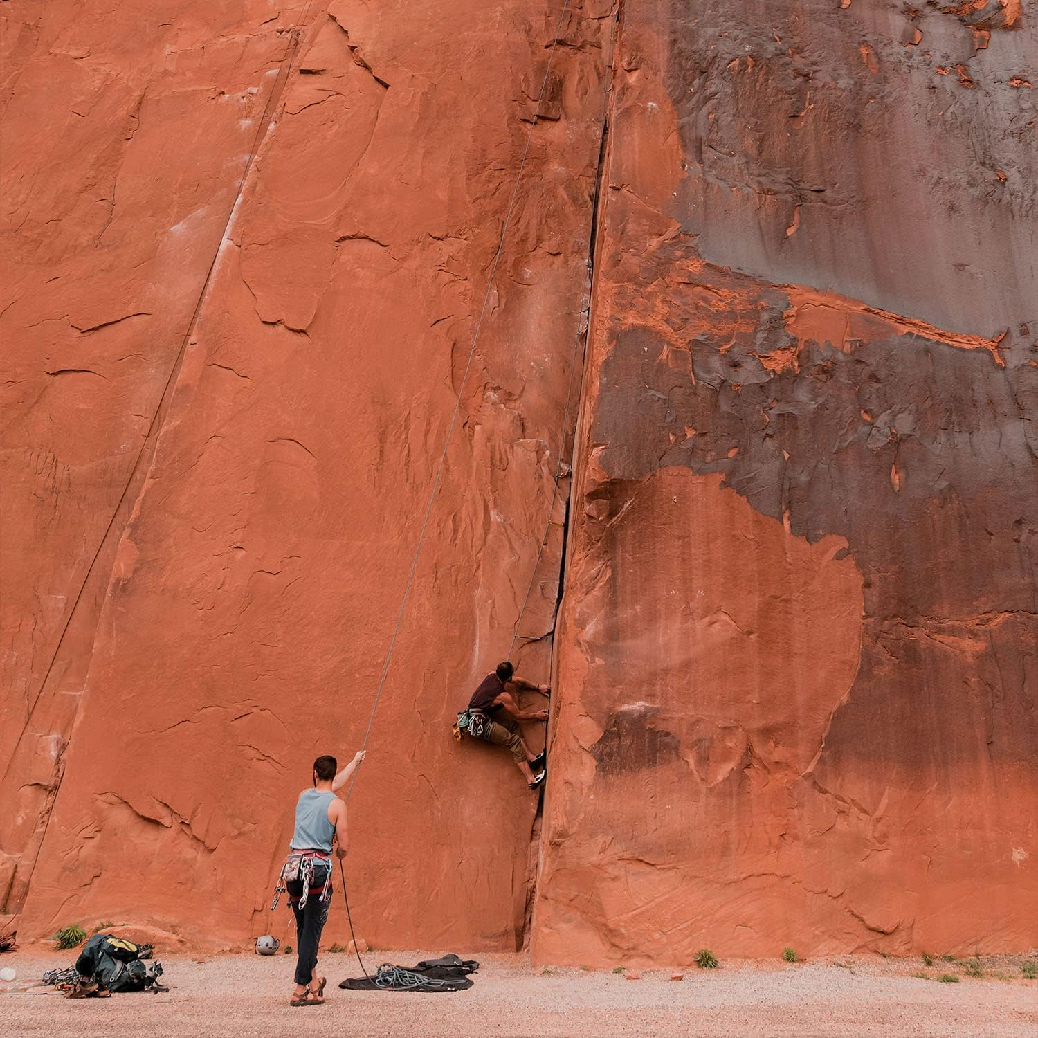 Badger Foot Balm Foot Balm 56 G image number 6