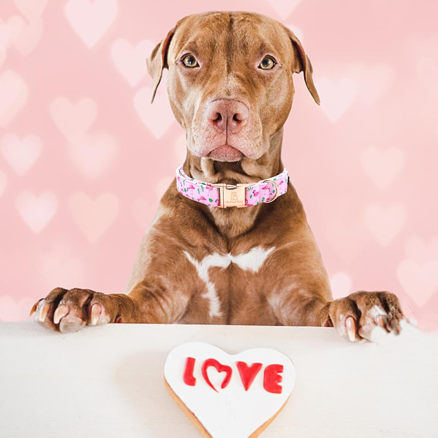 Lionheart Glory Pink Dog Collar Peach Dog Collar Girls Soft Durable Adjustable Puppy Gift Collar Spring Collar Dog Cute Dog Collars image number 3