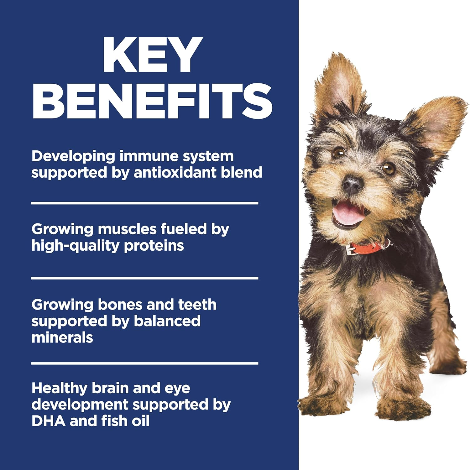 Hill'S Science Diet Puppy Small & Mini Dry Dog Food 5.67Kg image number 3