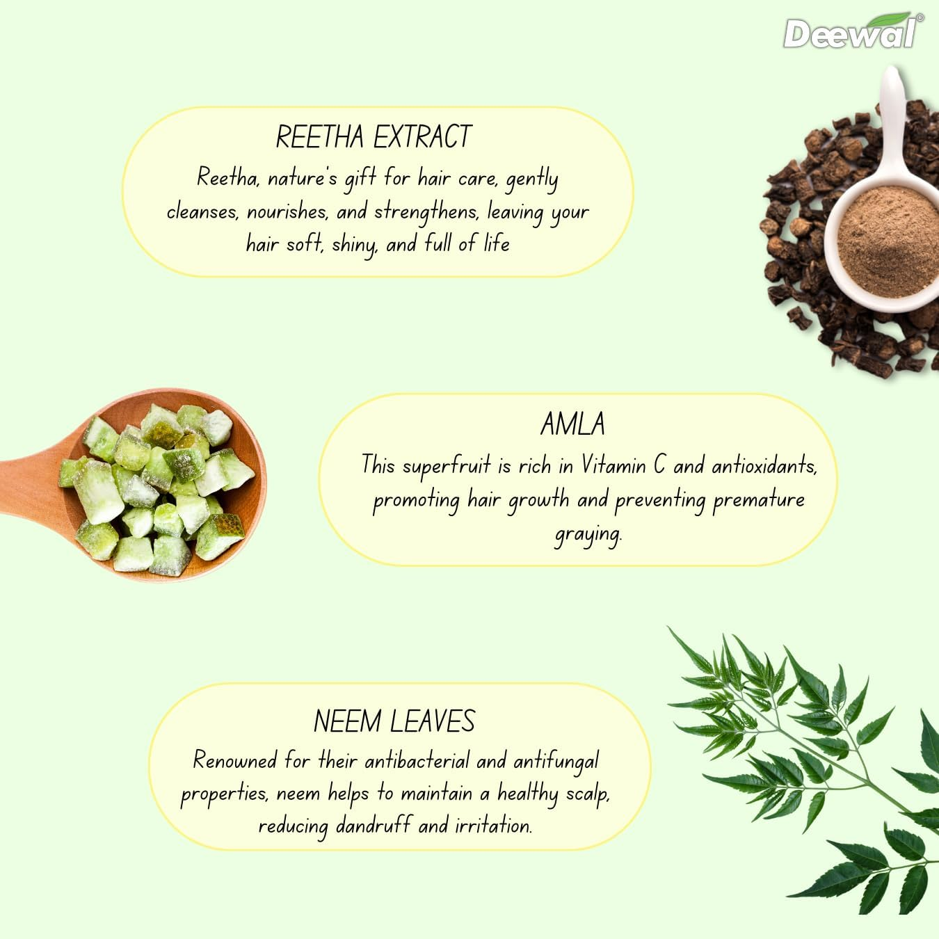 Deewal Khadi Herbal Satritha Herbal Shampoo for Men Women, 500 Ml (Pack of 1) image number 2