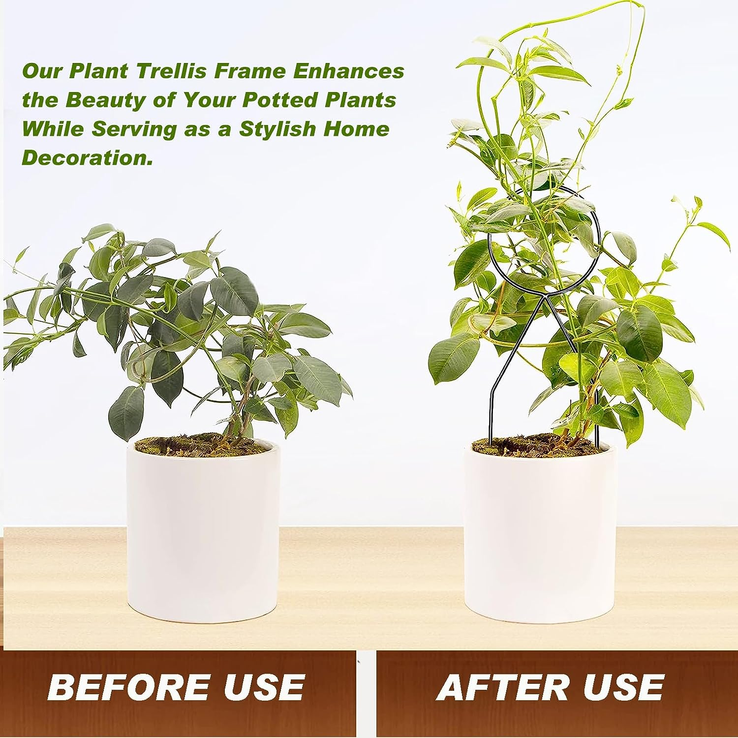 Small Trellis for Potted Plants Indoor, Black Metal Wire Stake for Climbing Plants, Unique Design for Houseplant Lover, Mini Trellis for Garden Plant Support, Hoya, Pothos, Flower(4P, Black) image number 4