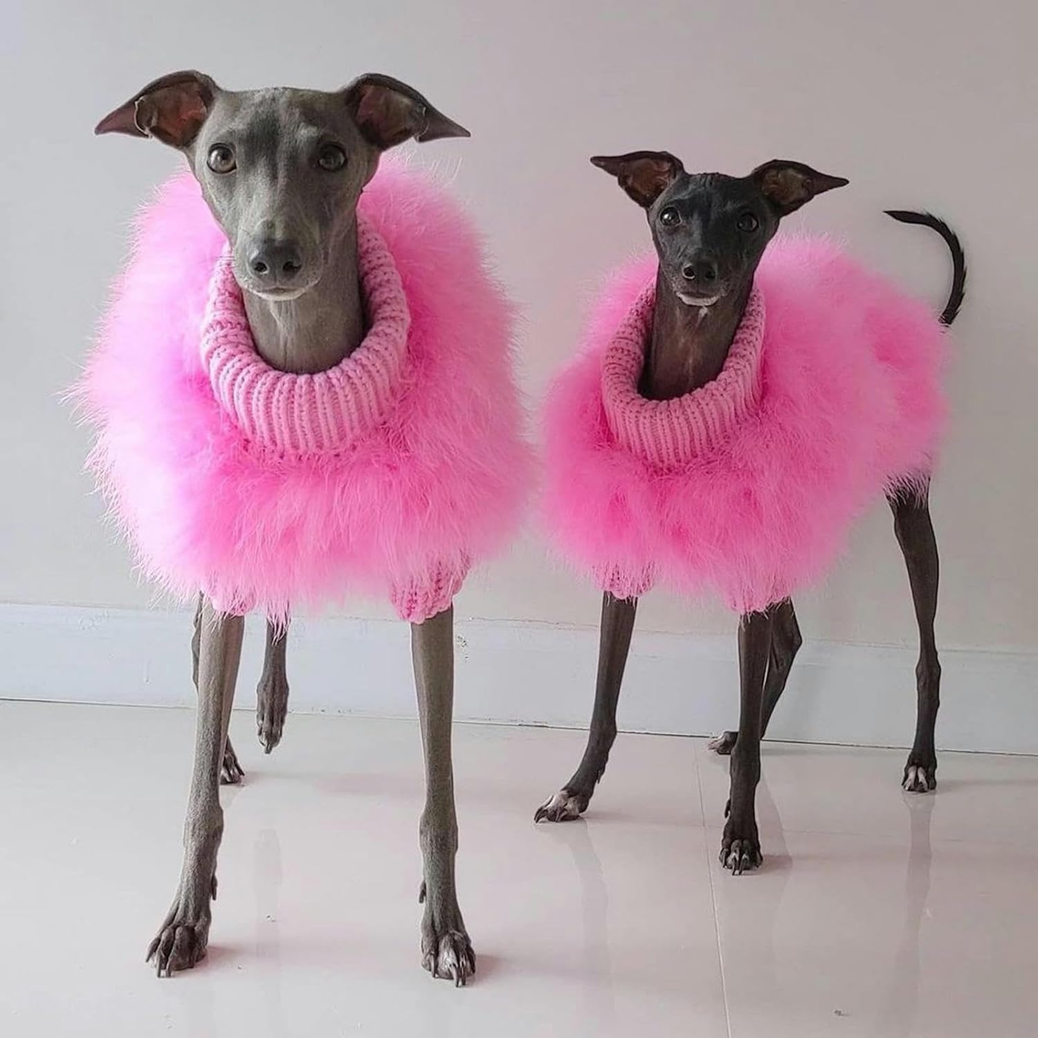 Luxury Dog Sweater Fashion Winter Warm Dog Sweater Pet Party Pullover with Feather Puppy Coat for Small Medium Dogs(Pink,Xl)