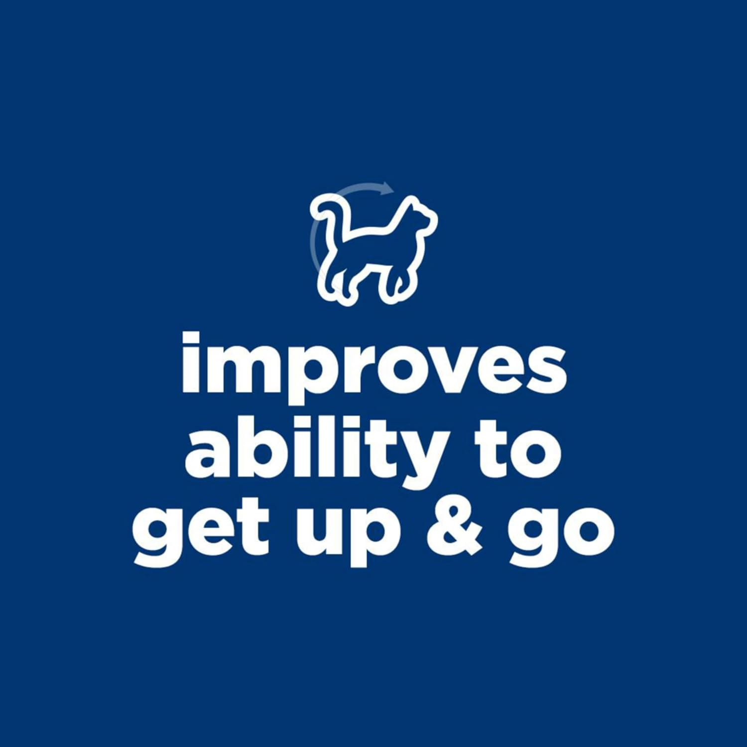 Hill'S Science Diet Senior Vitality Adult 7+, Chicken and Rice Recipe, Dry Cat Food for Older Cats, 2.72Kg Bag