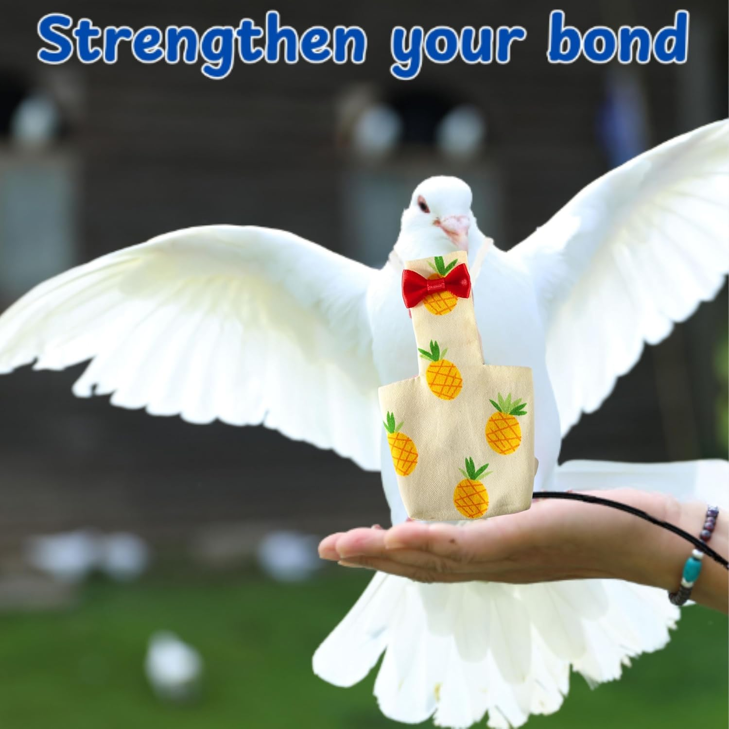 Birds Pigeon Diaper Pants Harness and Leash, Bird Diapers for Pigeons and Leash Harness, Diapers for Birds Cockatiel Parrot, Parakeet Diaper, Pigeon Pants, Parrot Clothes for Bird (Xl-Pineapple) image number 2