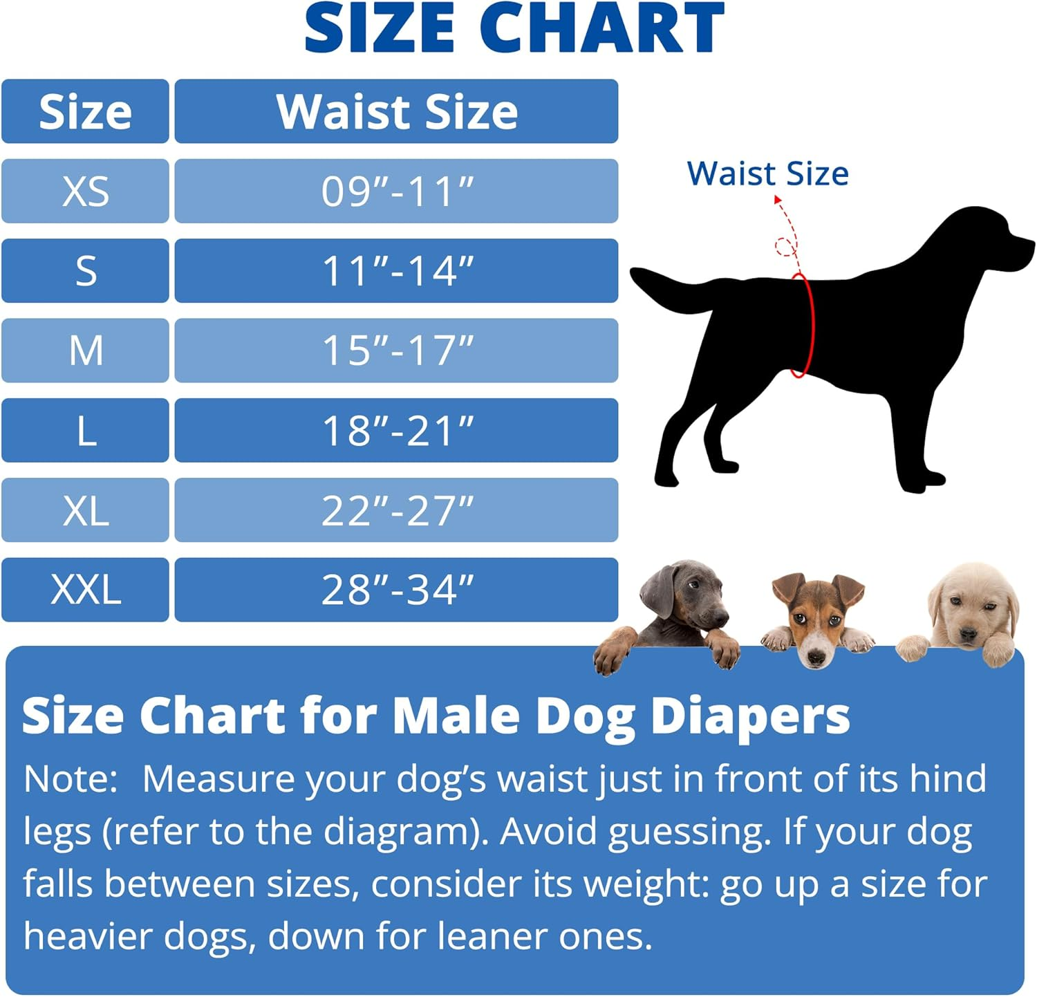 Paw Legend Washable Dog Belly Wrap Diapers for Male Dog (3 Pack,Modern Set,Small,New) image number 2