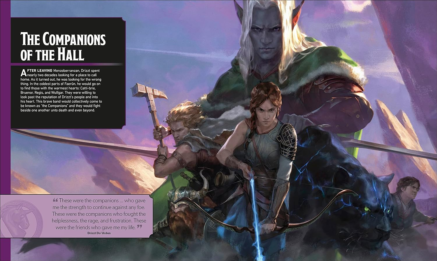 Dungeons & Dragons the Legend of Drizzt Visual Dictionary image number 4
