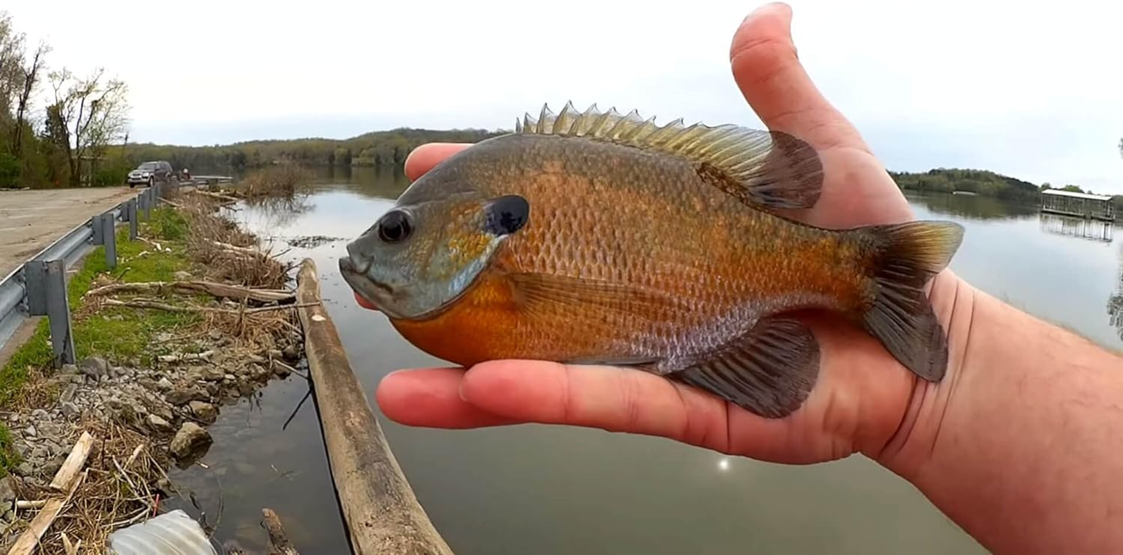 Trout Magnet Mini Magnet Kit - 70 Grub Bodies and 15 Size 14 Hooks image number 1