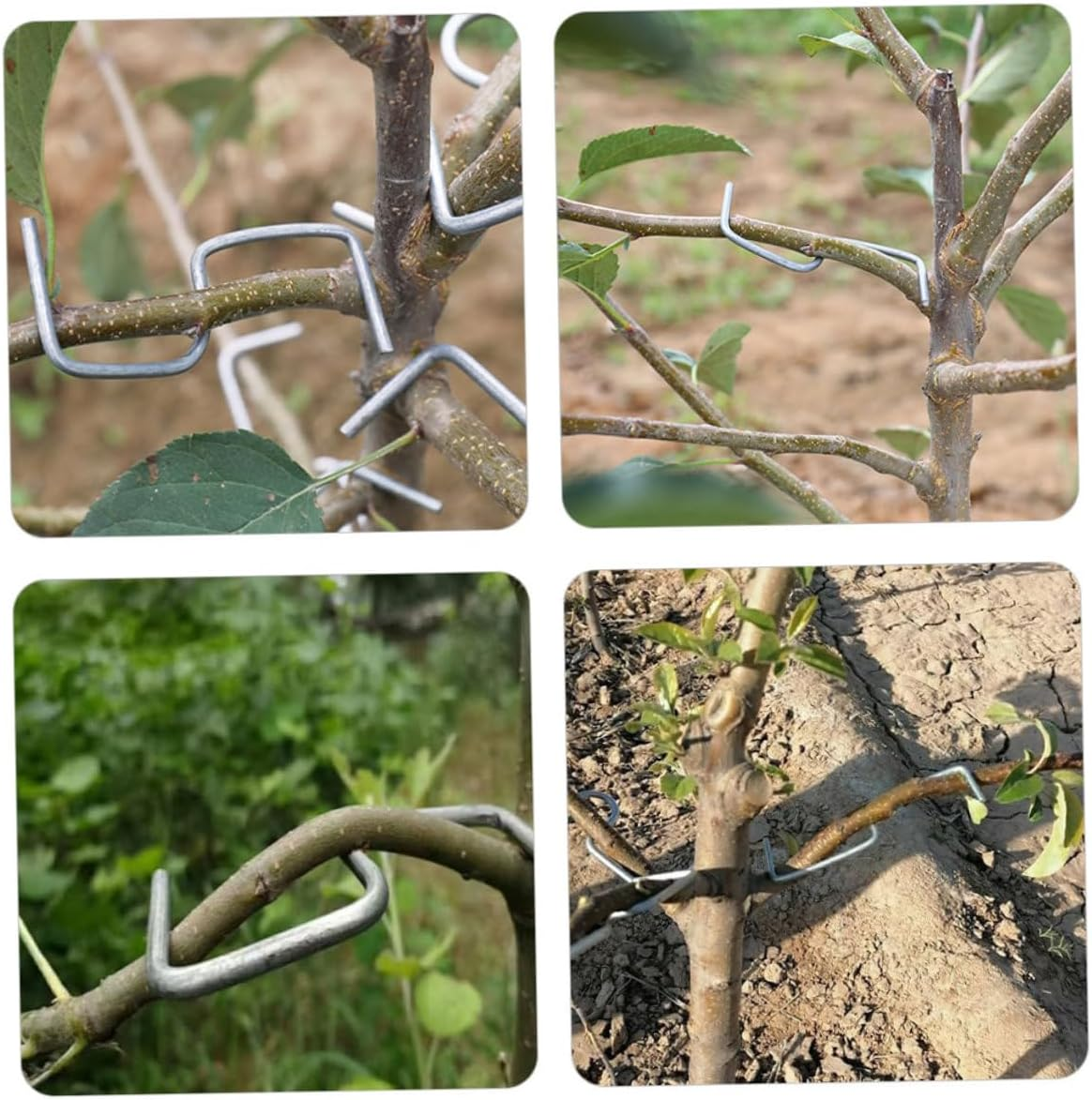 VINTORKY Tree Trunk Moderator Branch Bending Fixing Tool Fruit Branch Puller Plant Supplies Tie Stick Shaper image number 1