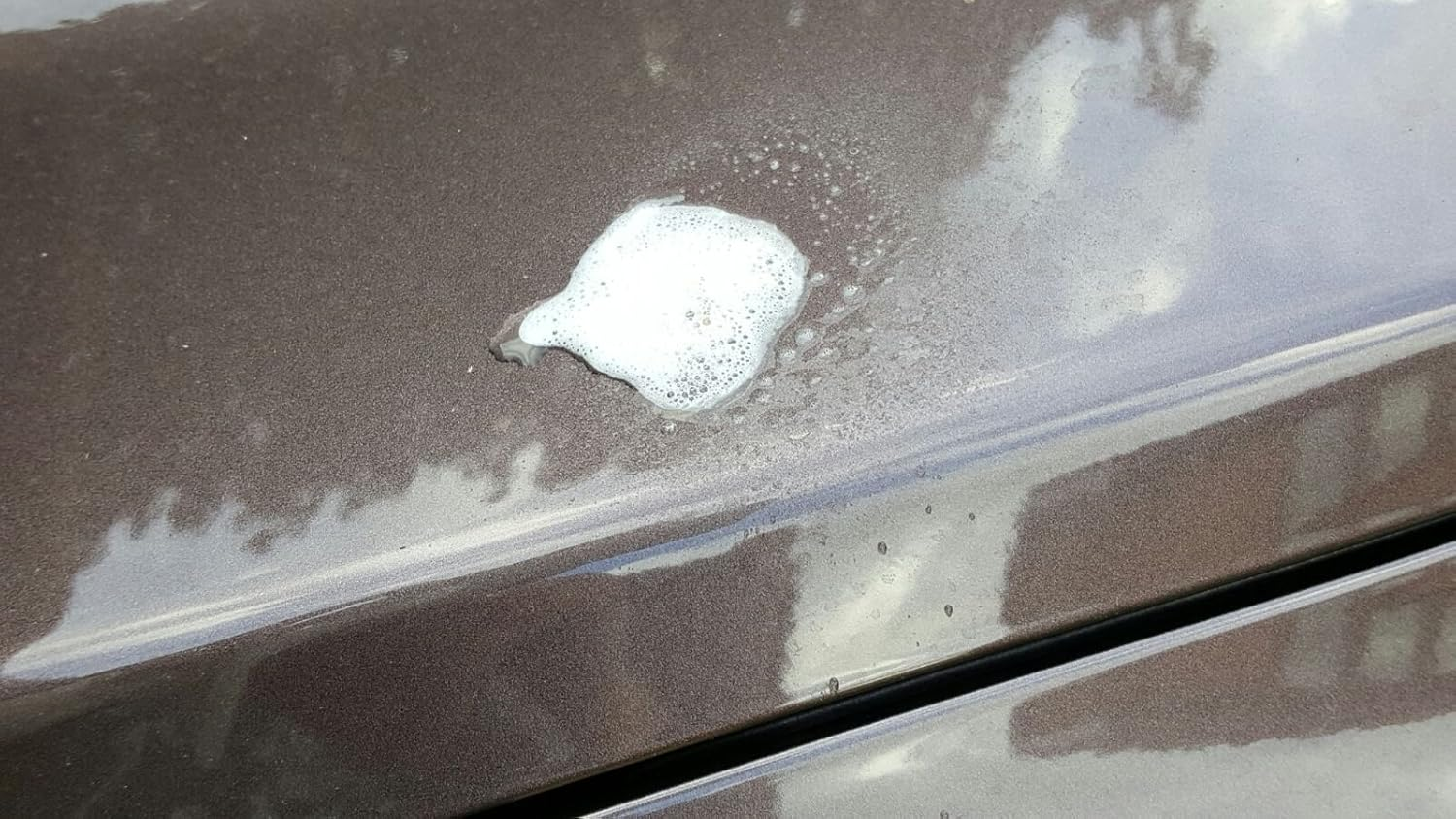 Nushine Bird Dropping and Insect Strike Remover Spray 50Ml (Eco-Friendly Formula)